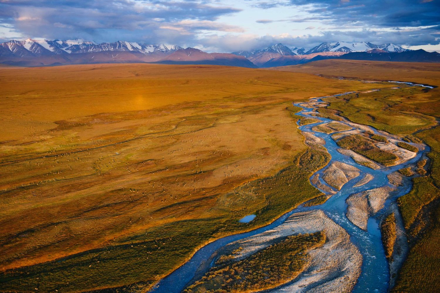 America´s Arctic - A Refuge Imperiled