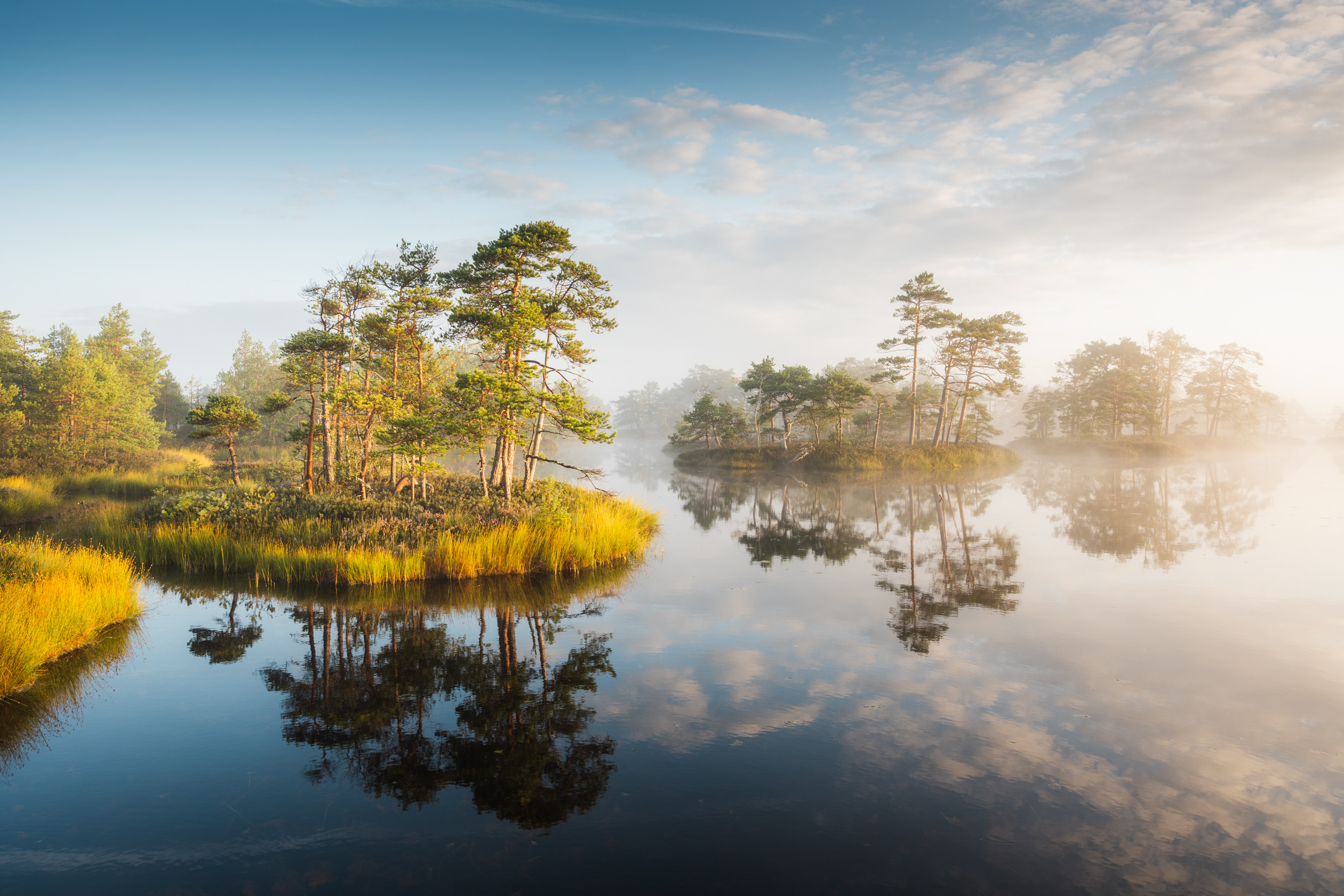 Priidu Saart: In Appreciation of Estonia’s Landscapes (EST)