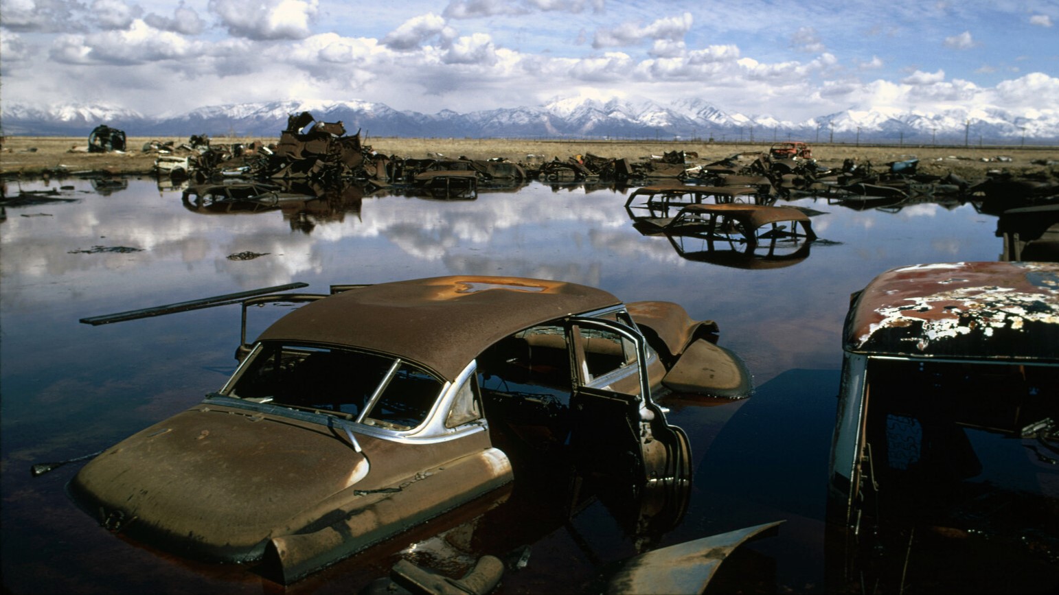 Autoportrait d'une nation au bord de l'abime