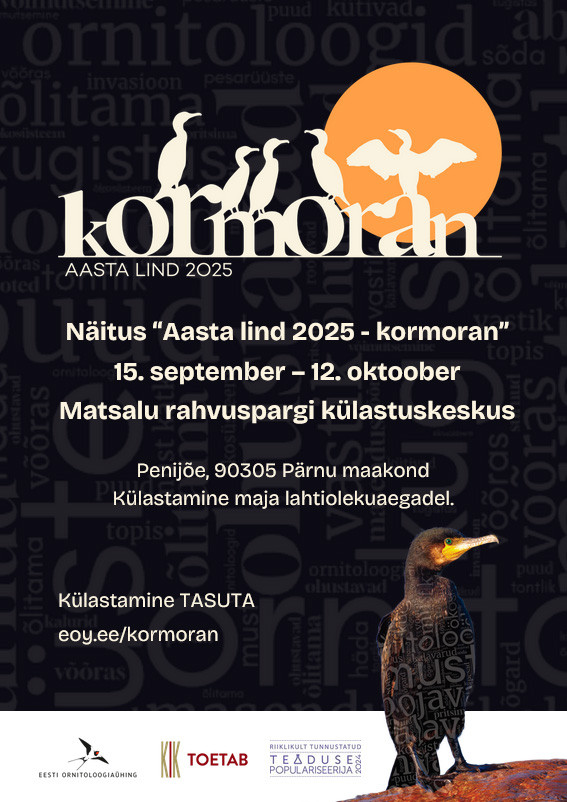 Näitus 