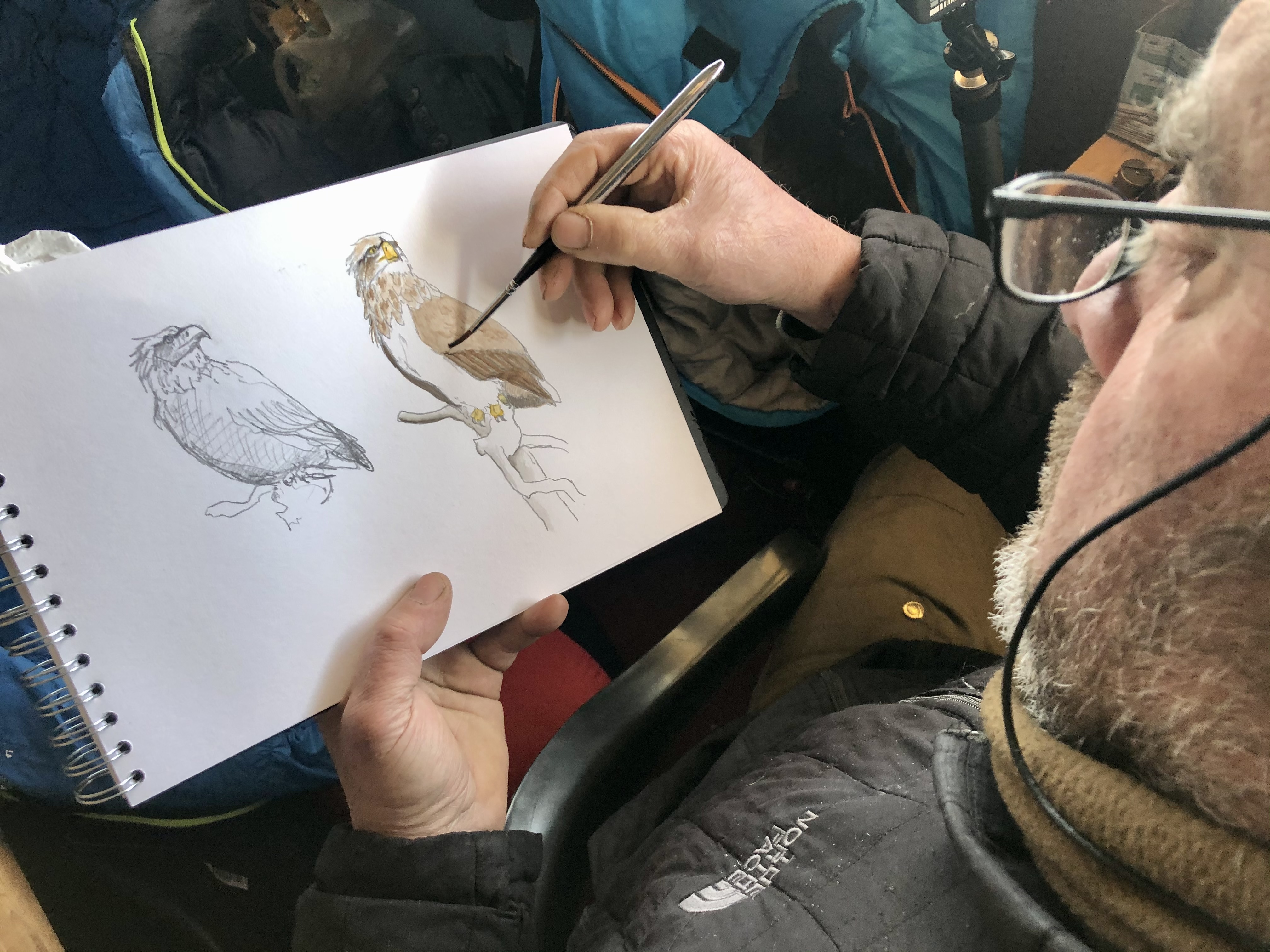 L'affût aux loups
