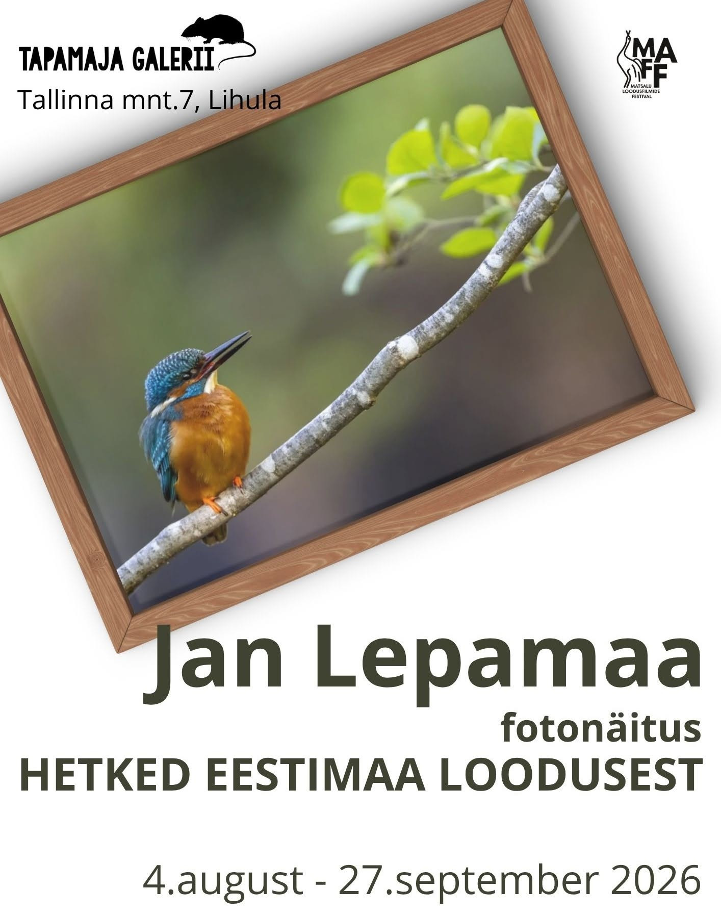 Hetked Eestimaa loodusest