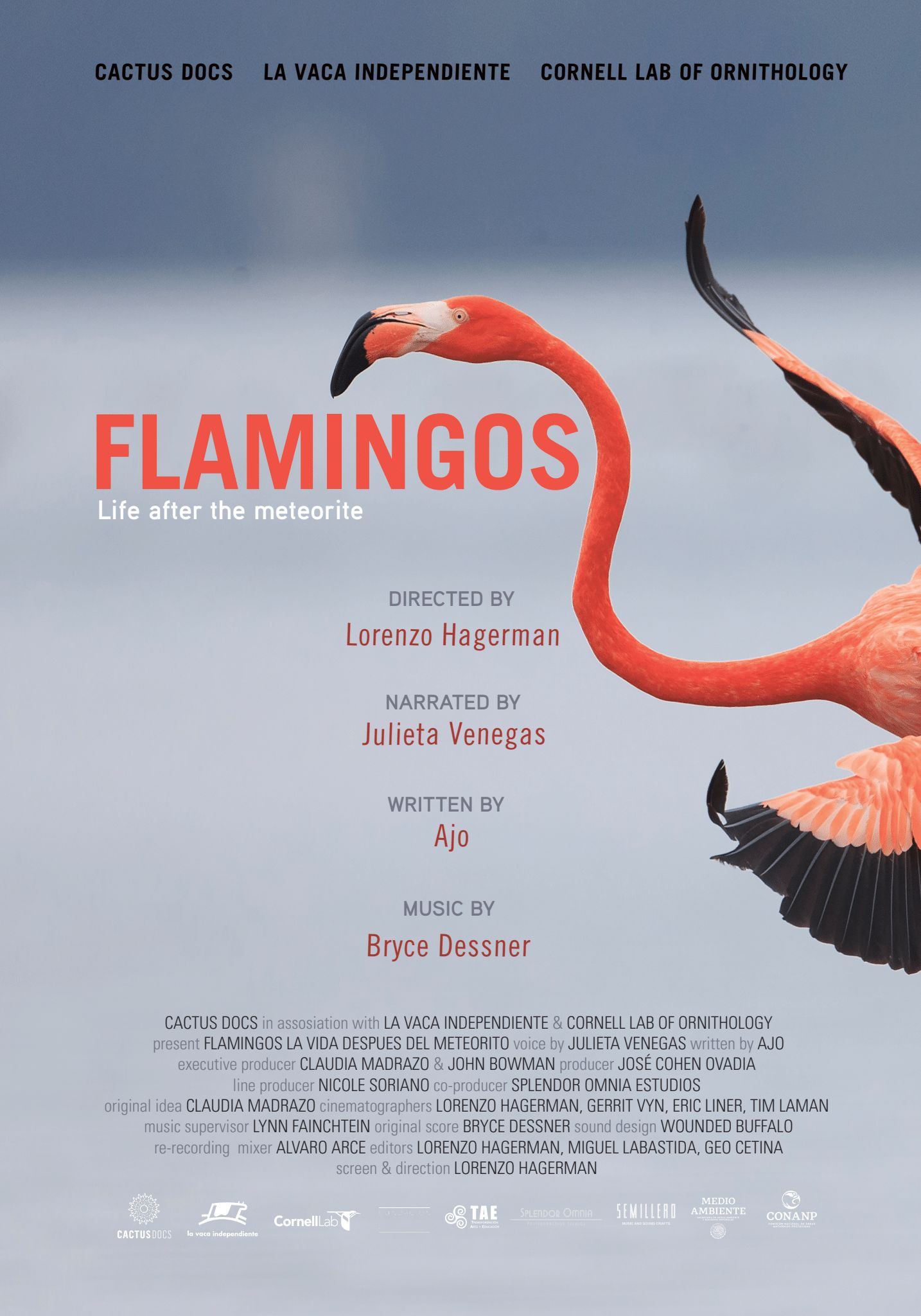 Flamingos: Life After the Meteorite