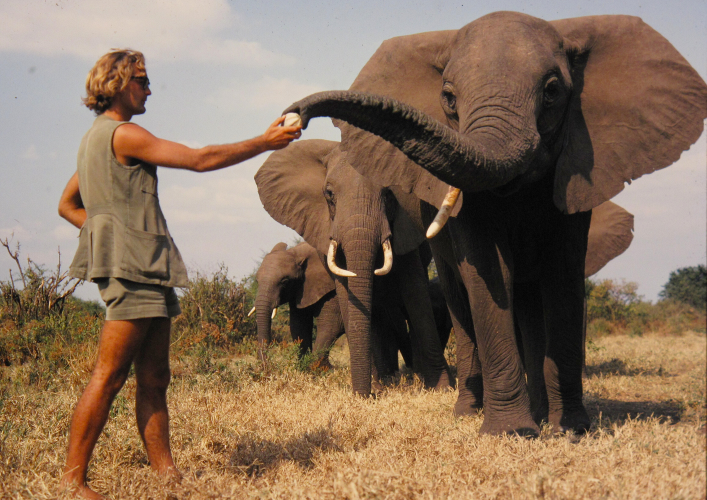 A Life Among Elephants