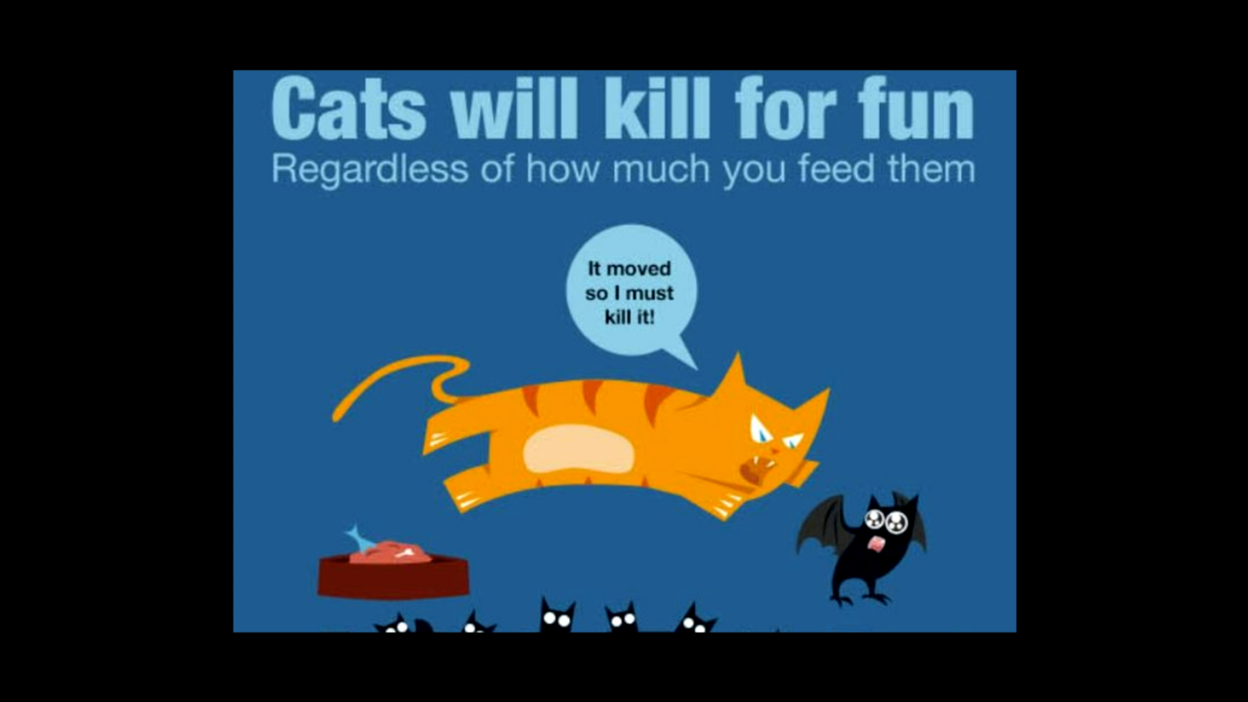 Goodbye to All Cats