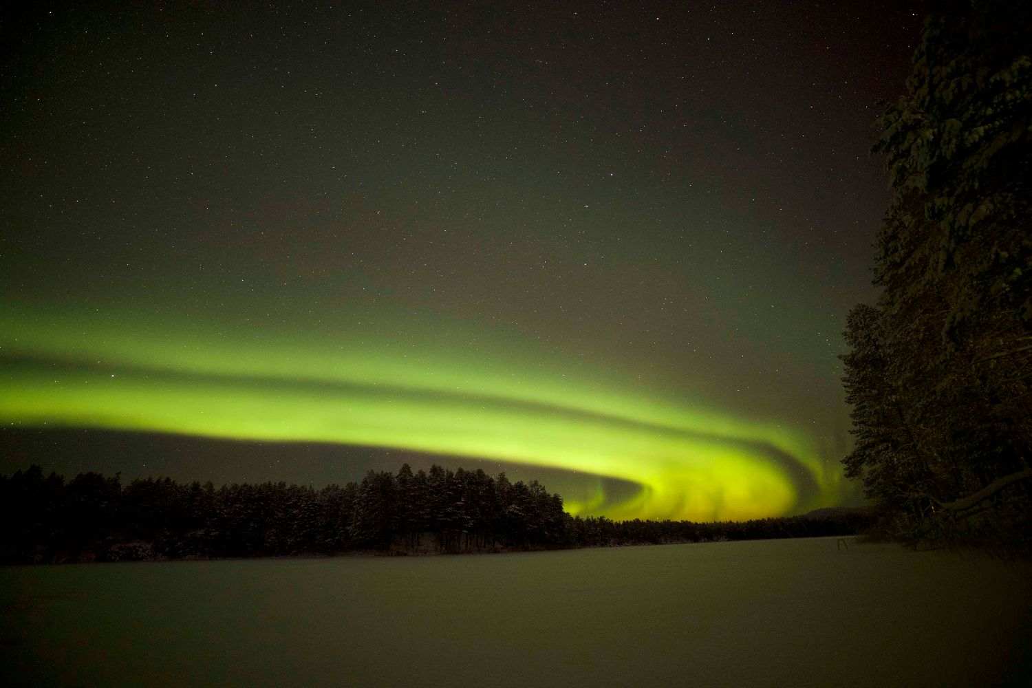 Santa´s wild Home