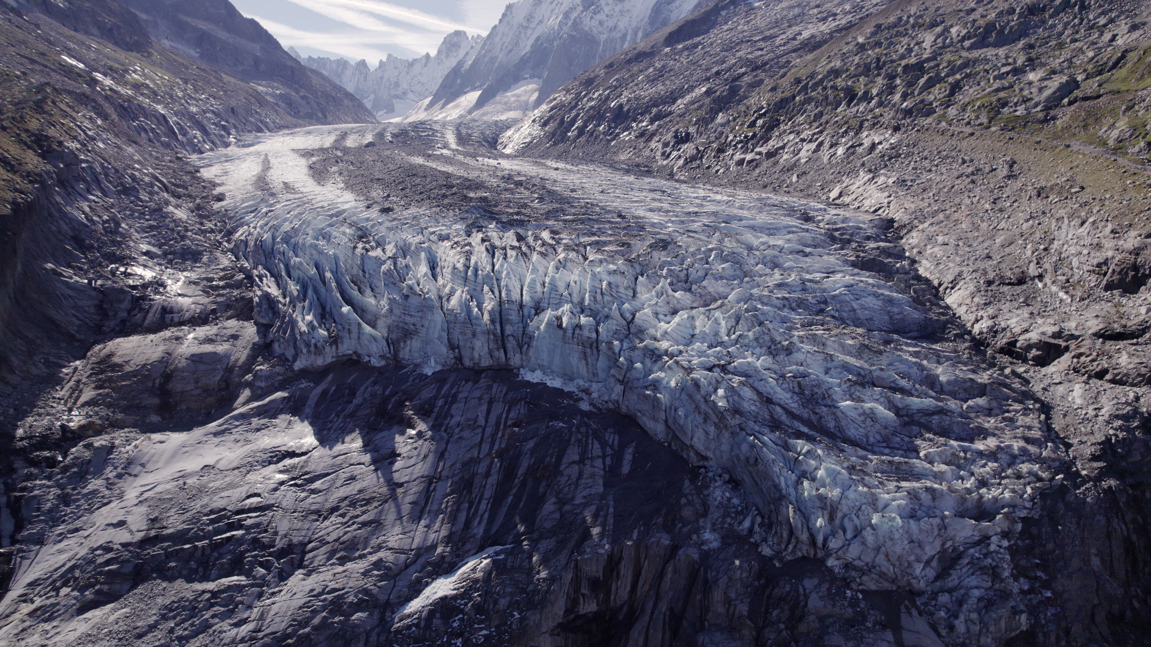 Bouquetin, la vigie des montagnes