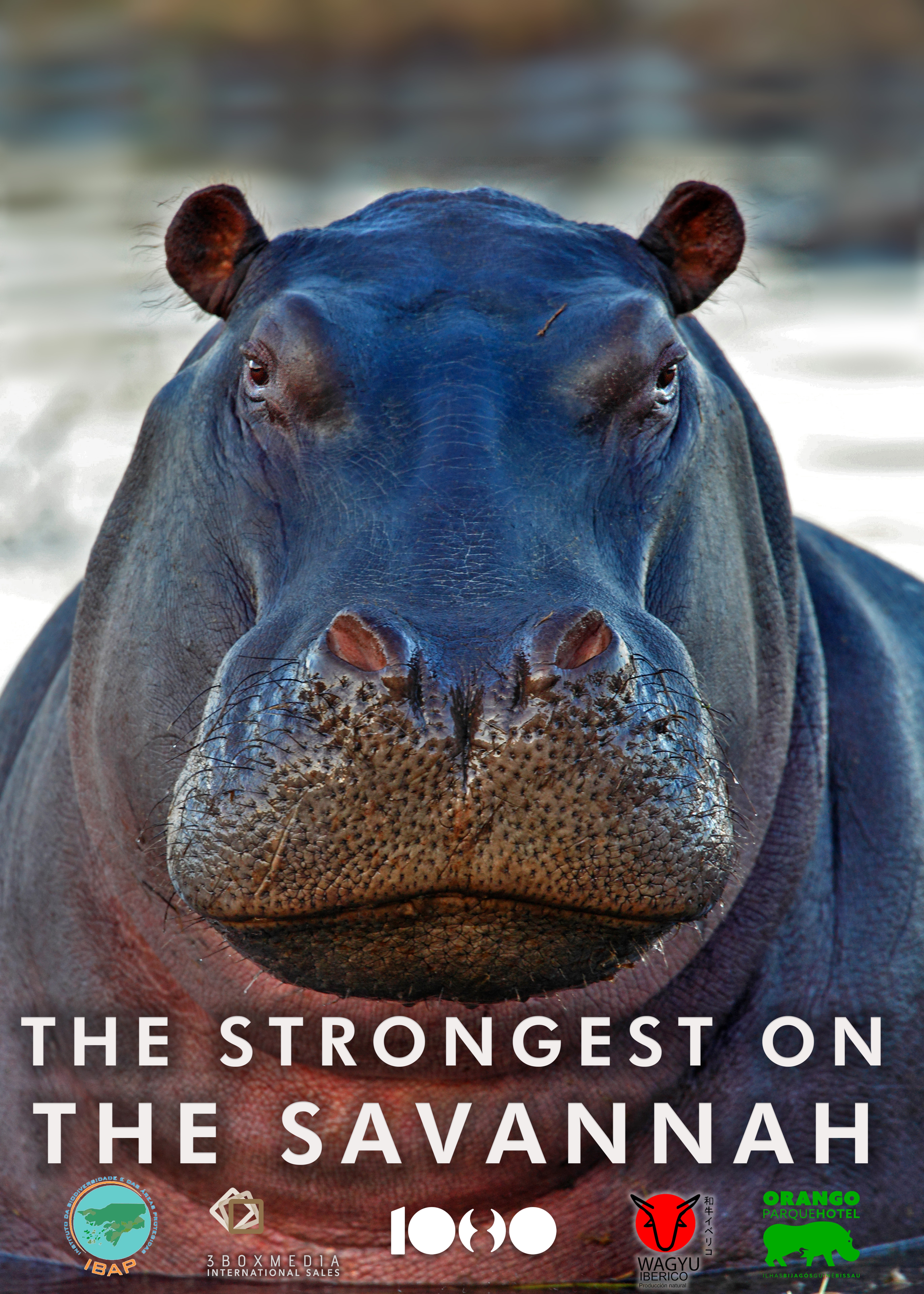 The Strongest on the Savannah