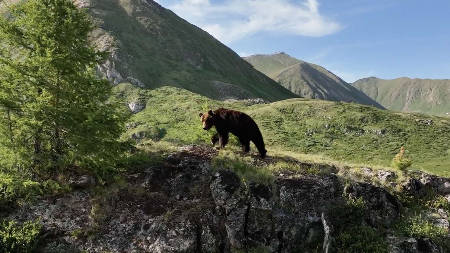 Mongolia, Valley of the Bears