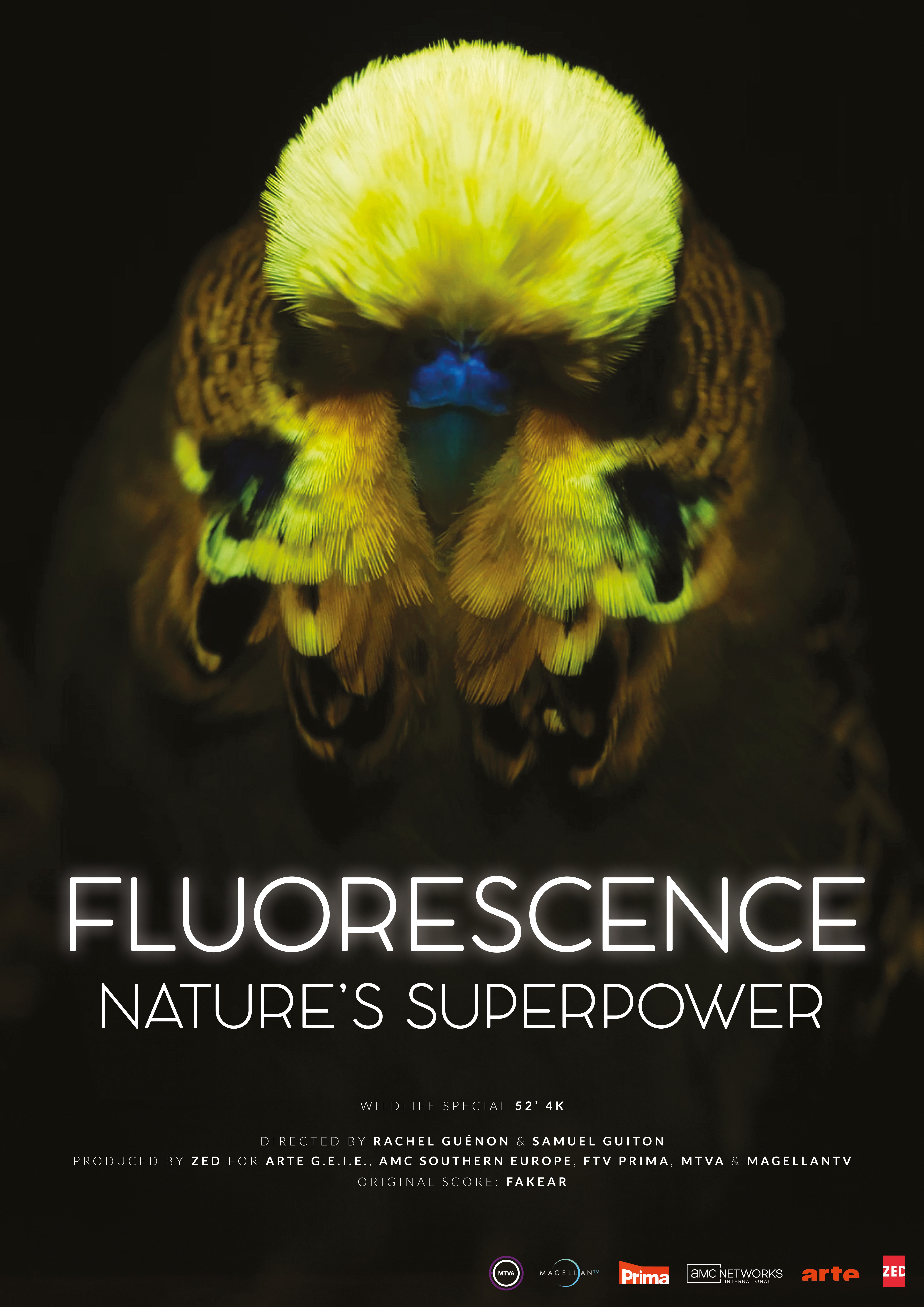 Fluorescence: Nature’s Superpower