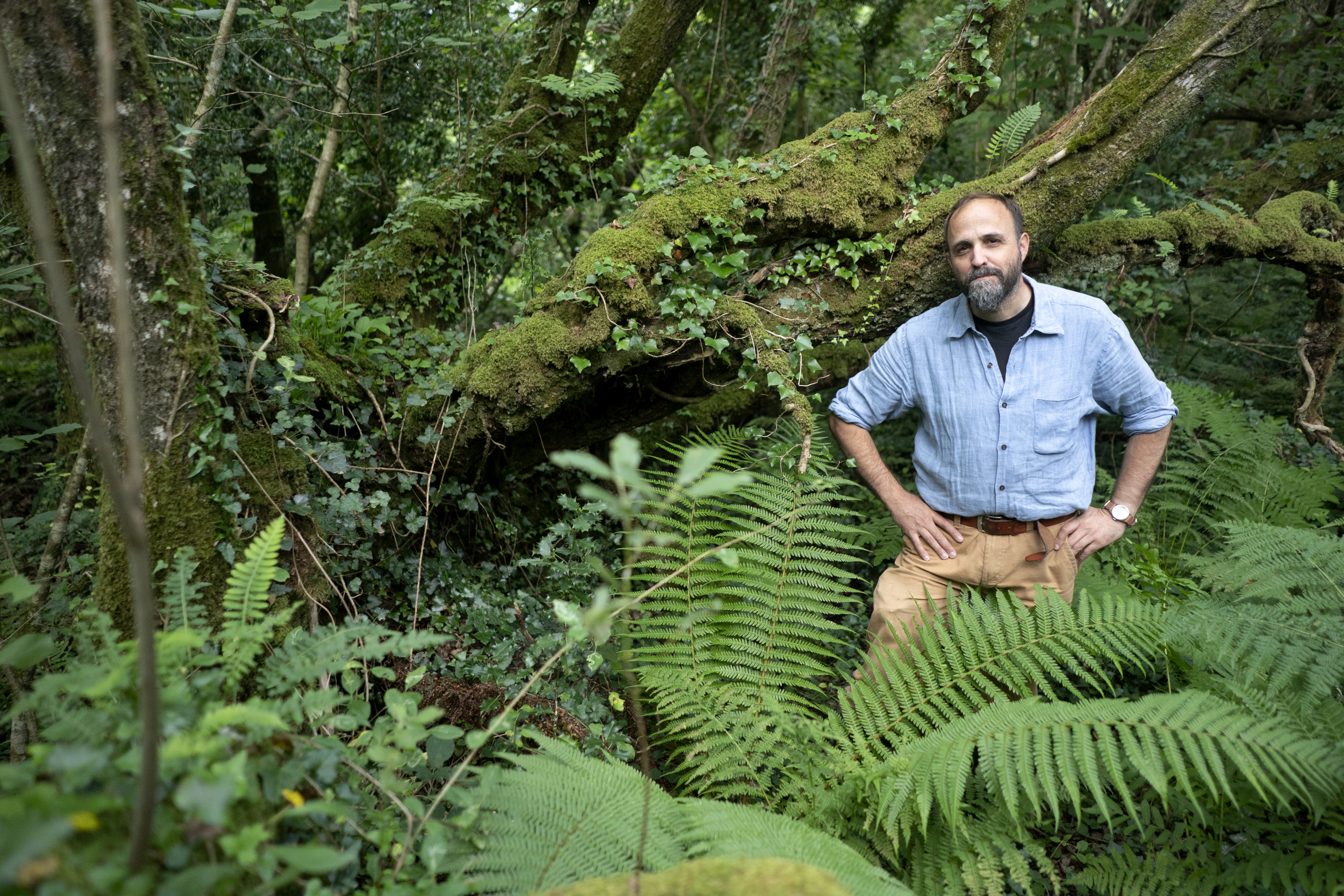 An Irish Atlantic Rainforest