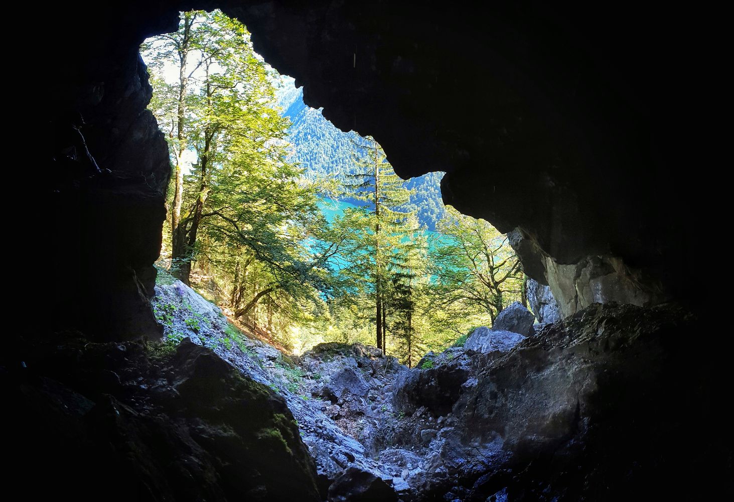 Natur am Königssee