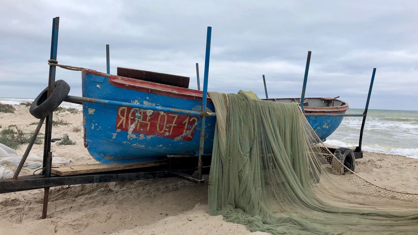 Return Sasyk to the Sea