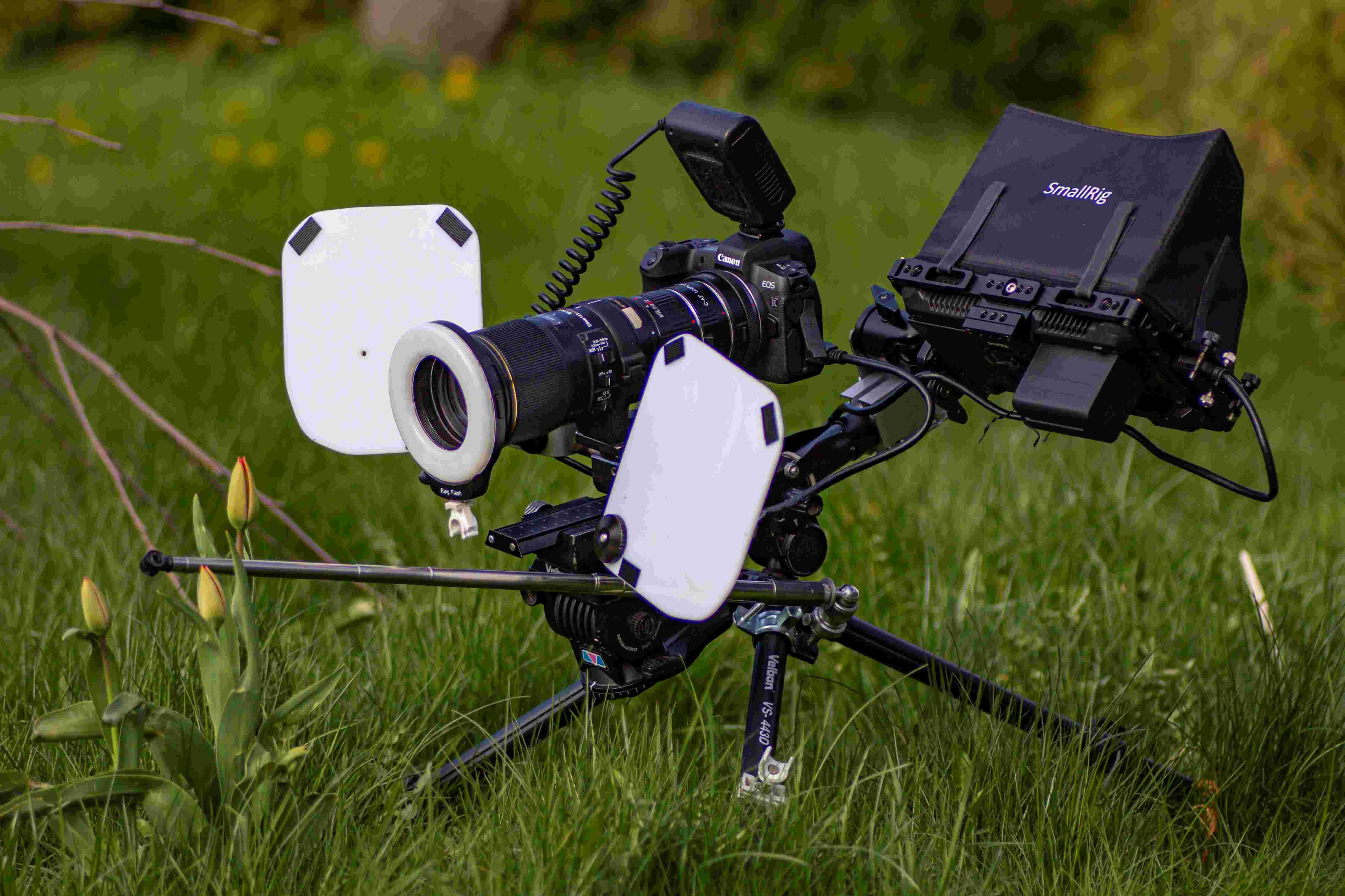 Nature Film Workshop