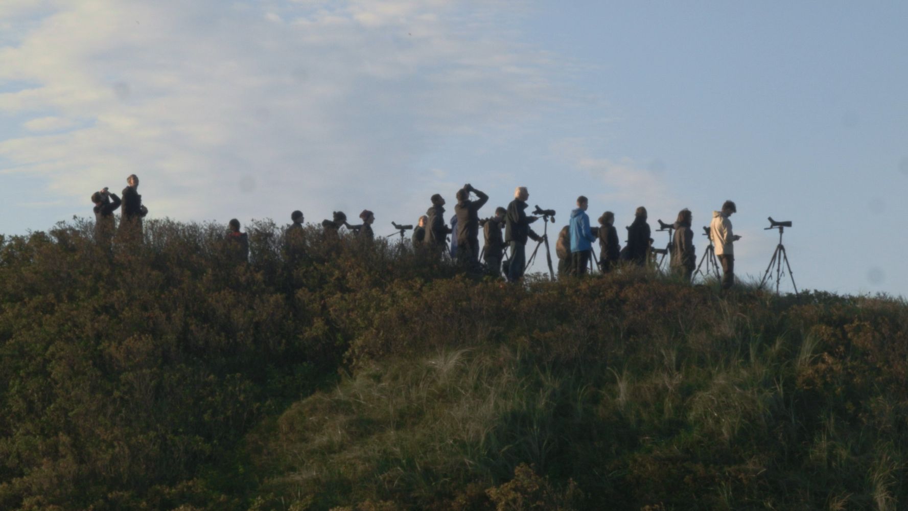 Nærmere Fuglene