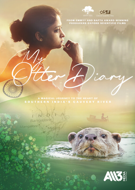 My Otter Diary 