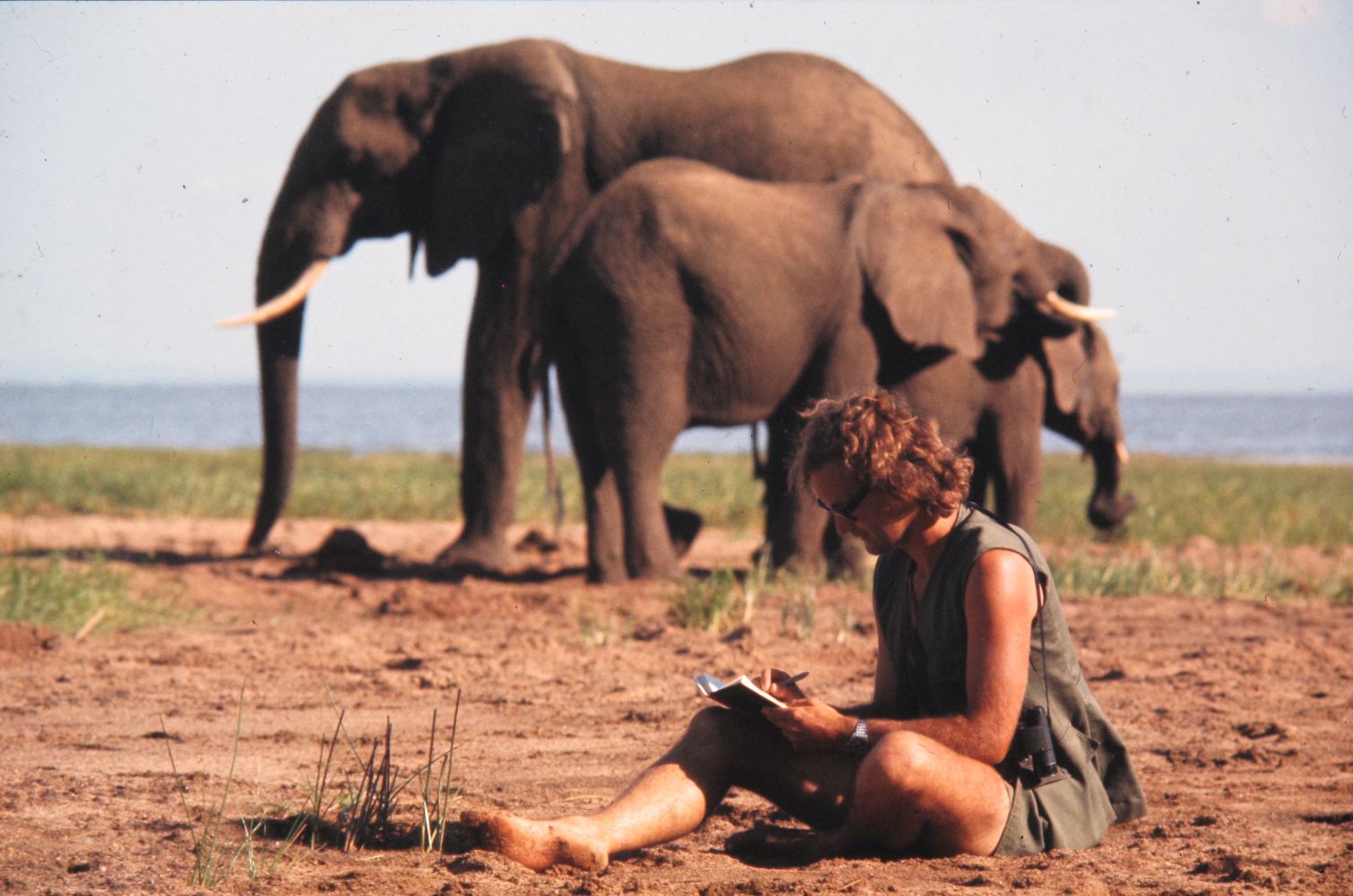 A Life Among Elephants