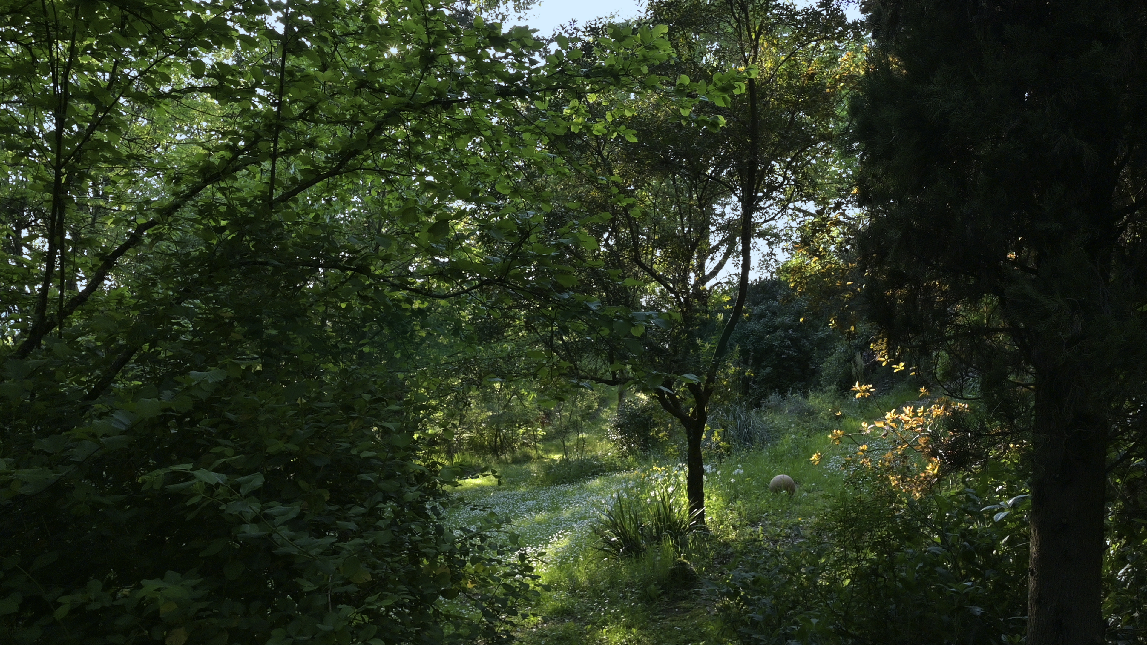 The Piuca Wildlife Garden