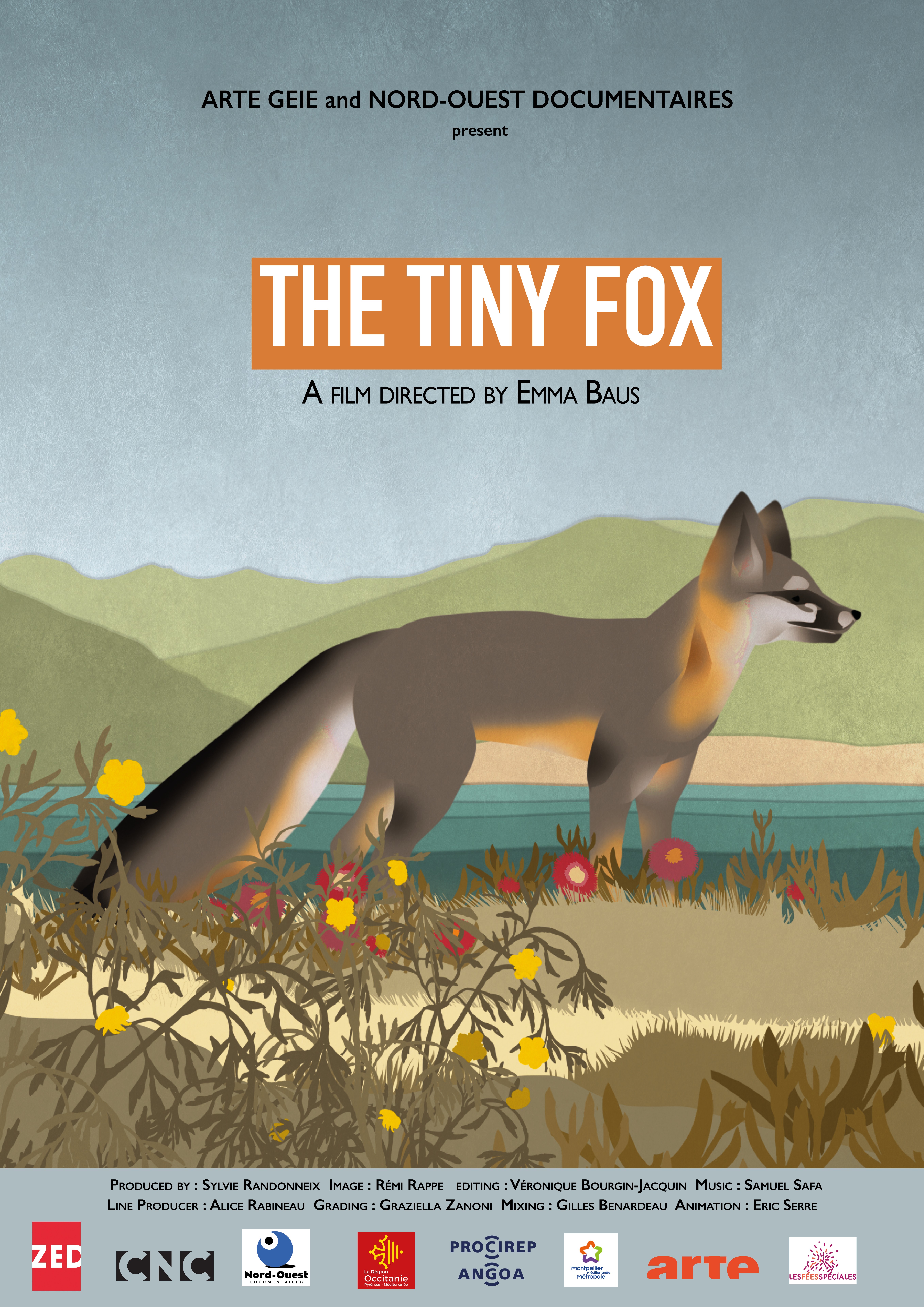 The Tiny Fox