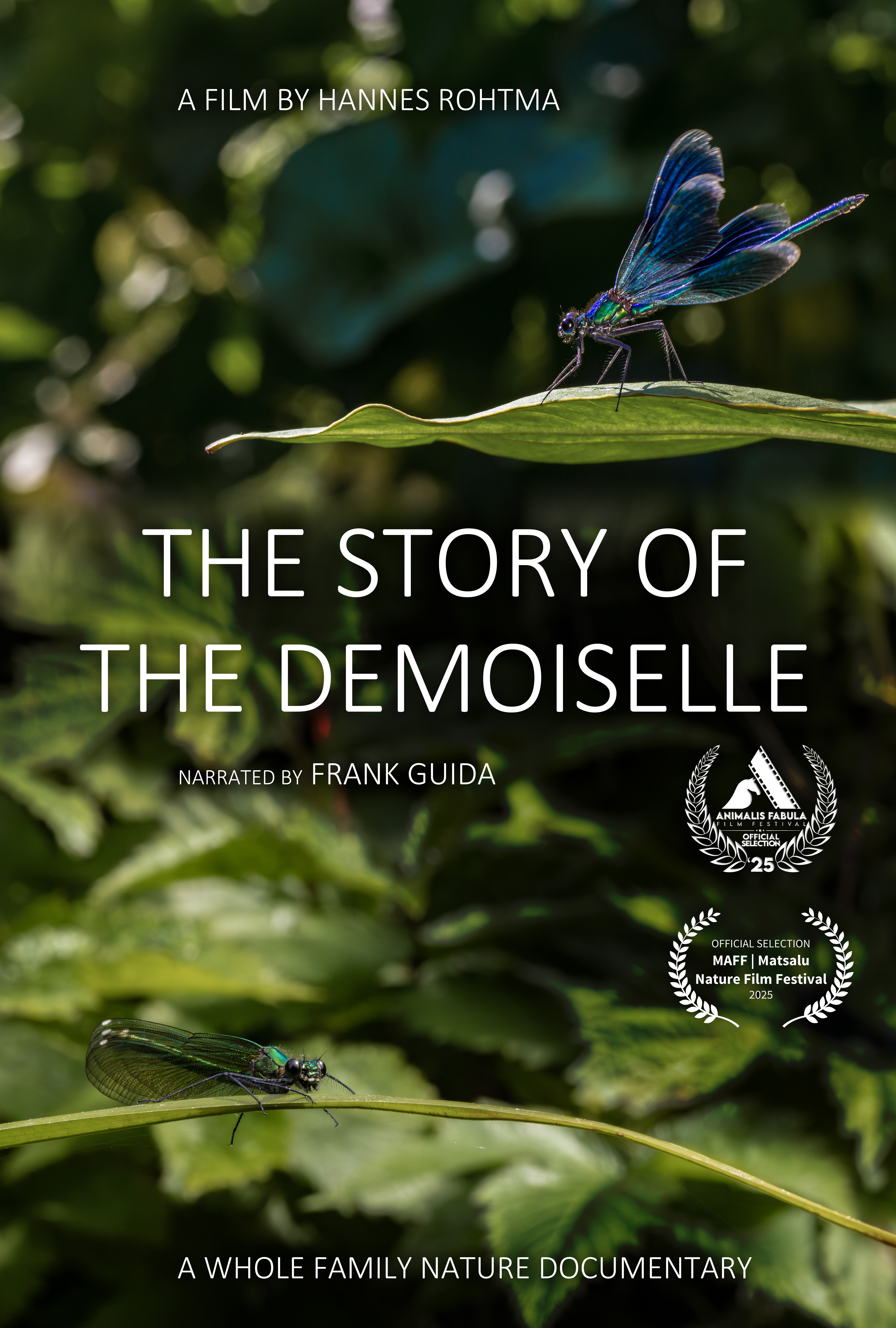 The Story of the Demoiselle