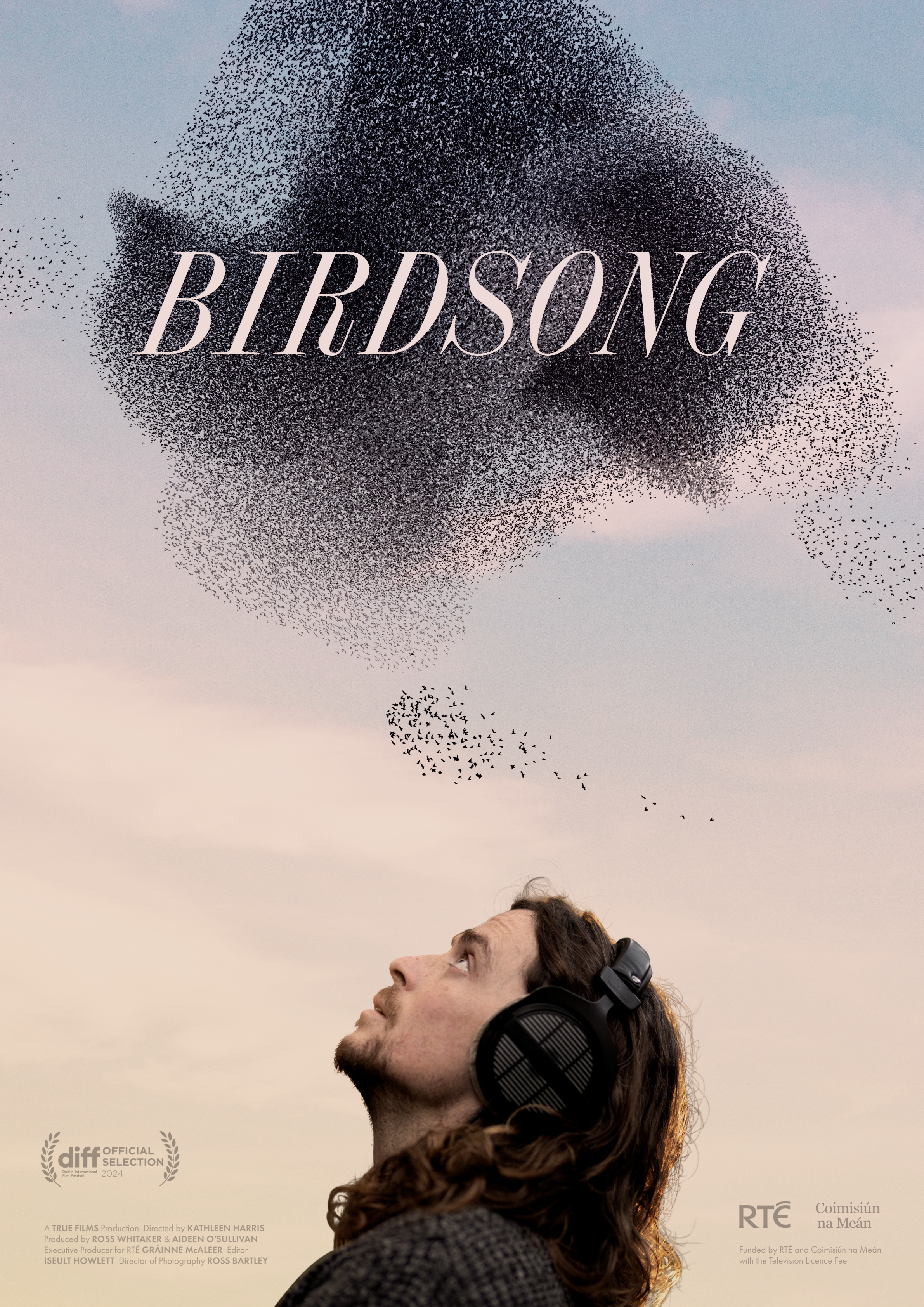 Birdsong