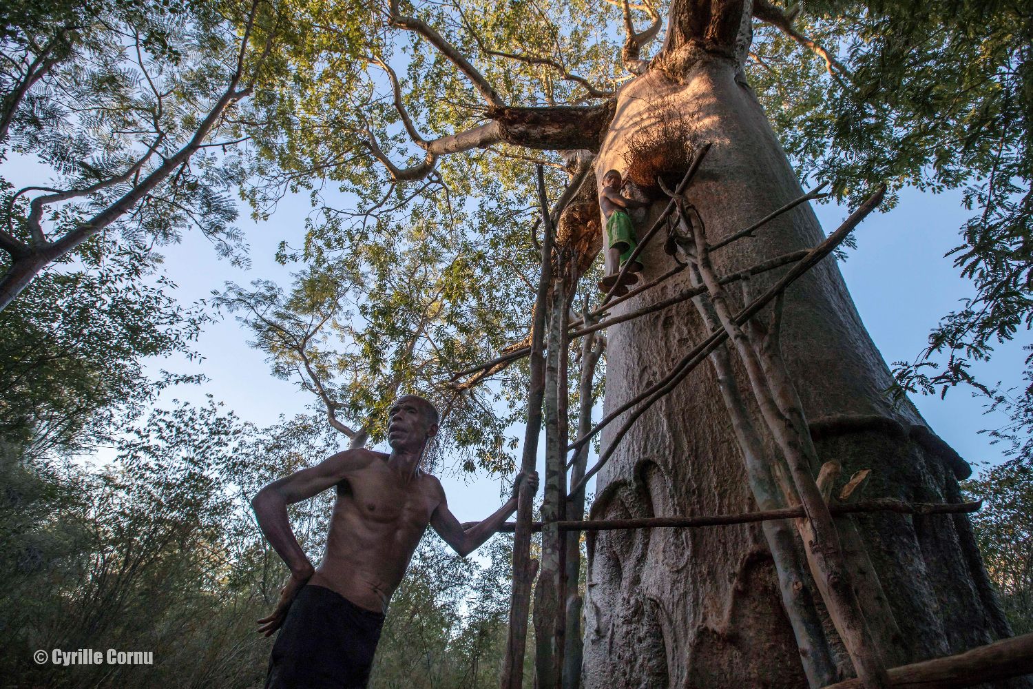 Mamody, the last Baobab Digger