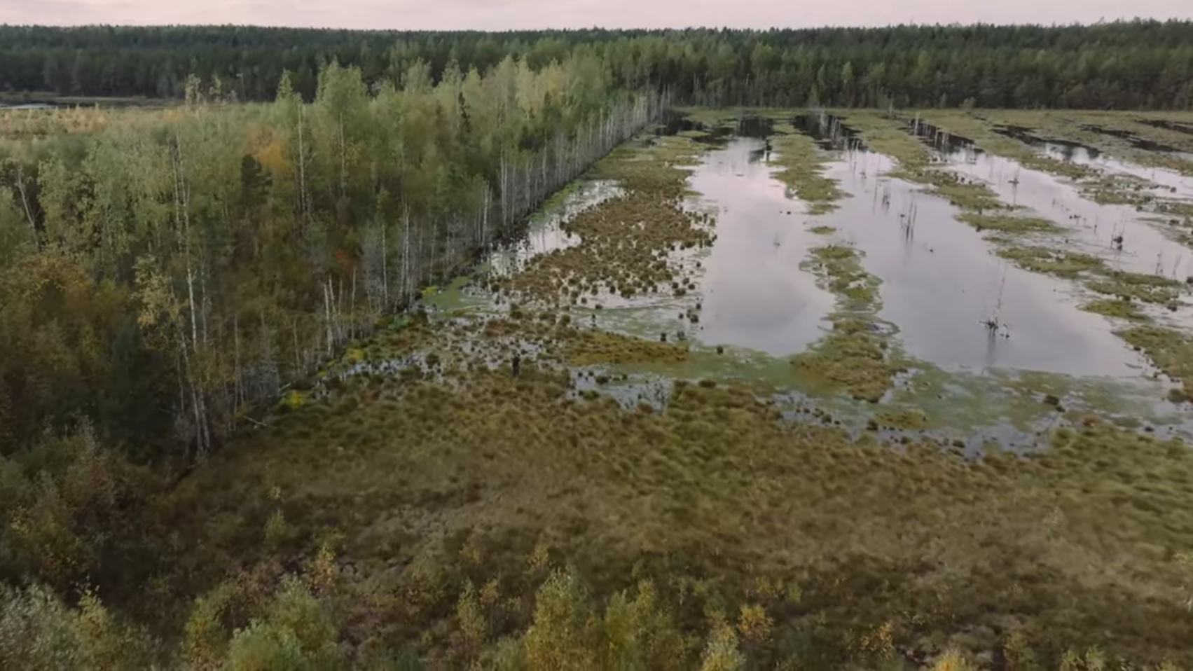 Soode taastamine - Teooriast praktikasse