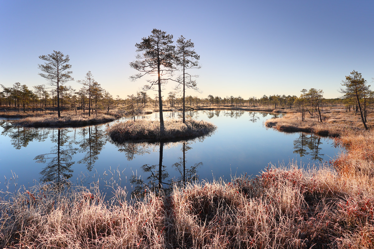 The First Frosty Autumn Morning. Photo: Remo Savisaar