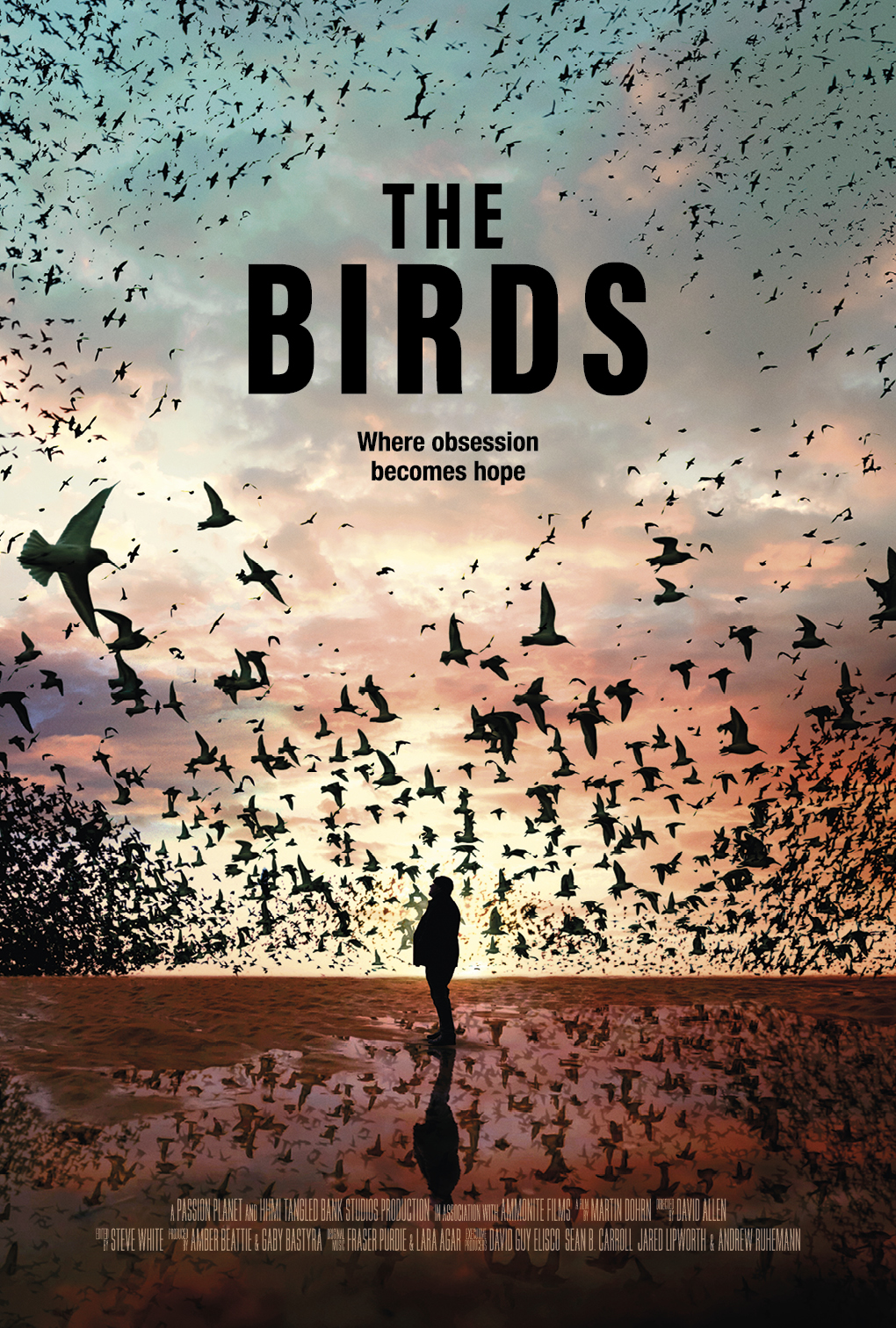 The Birds 