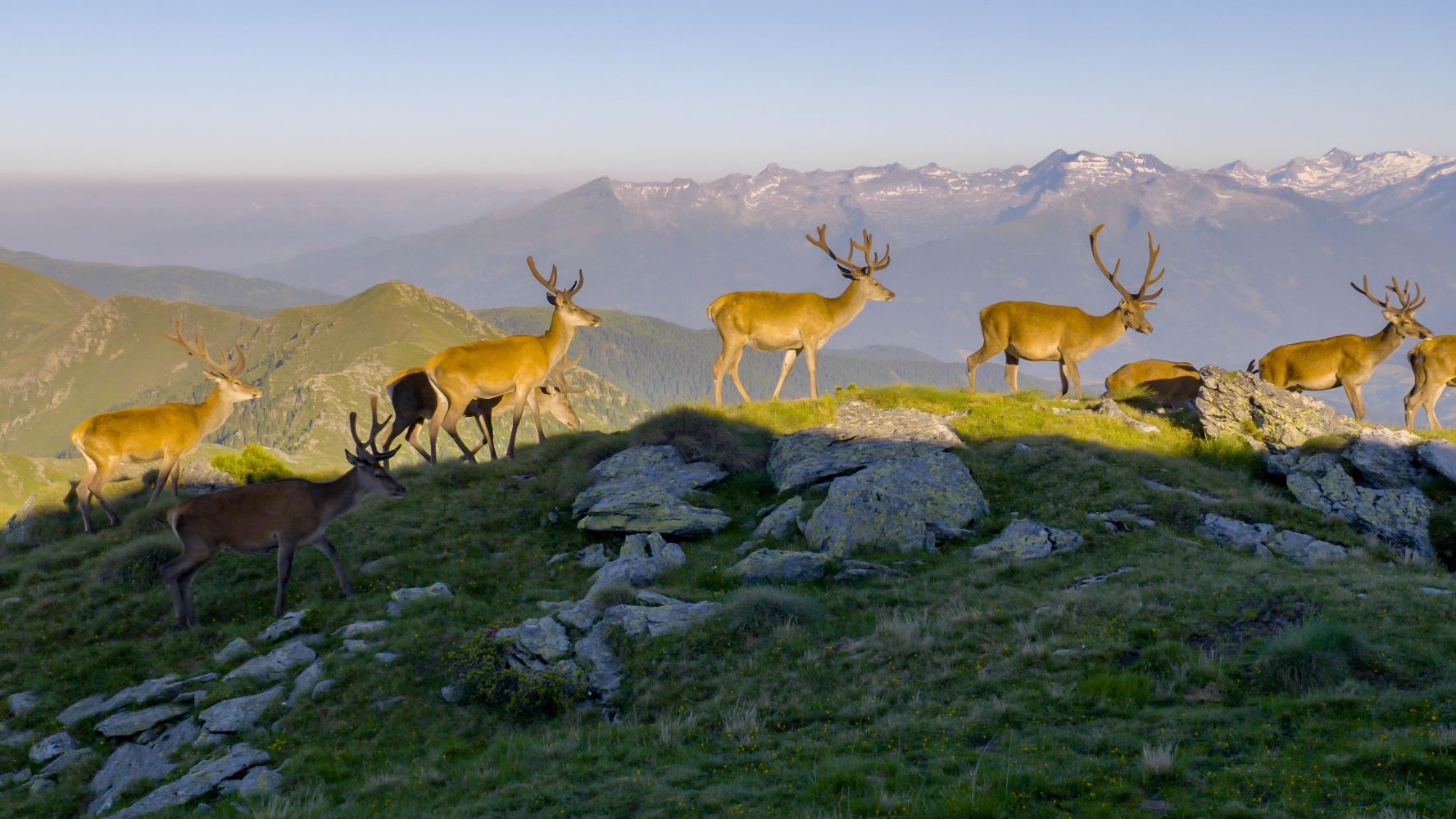The Alps EP 1: The High Life