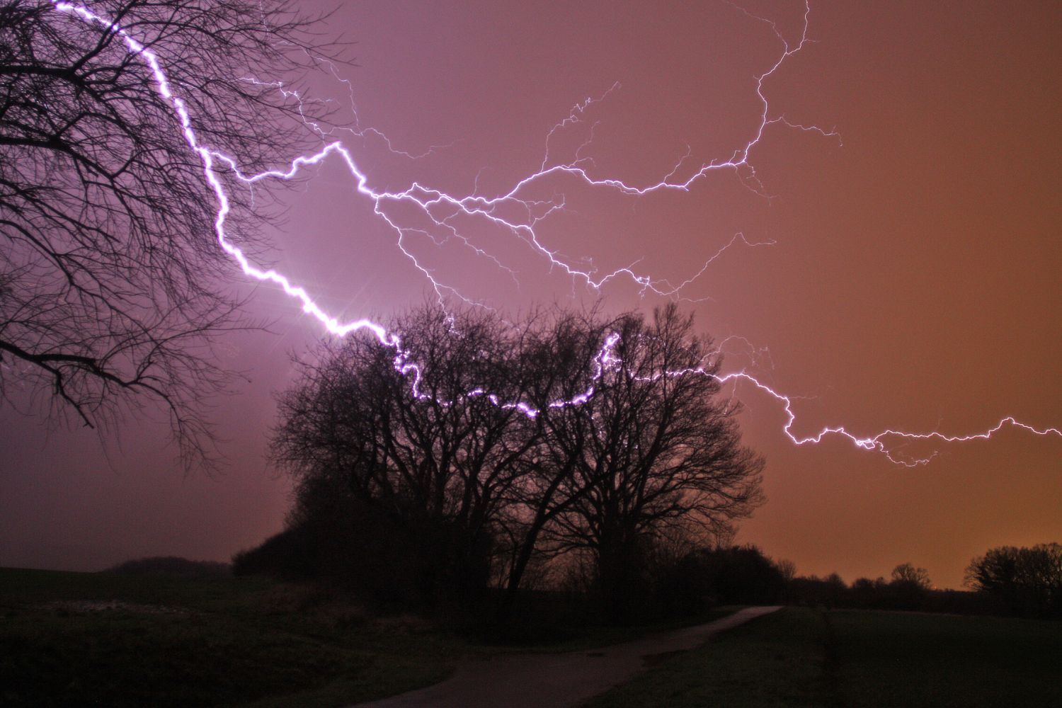 The Storm - Wildlife in Wild Weather