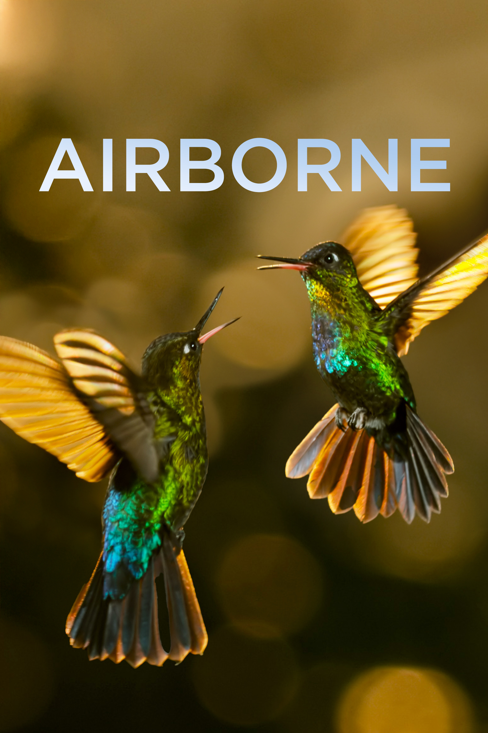 Airborne Episode 3 - Love in the Air