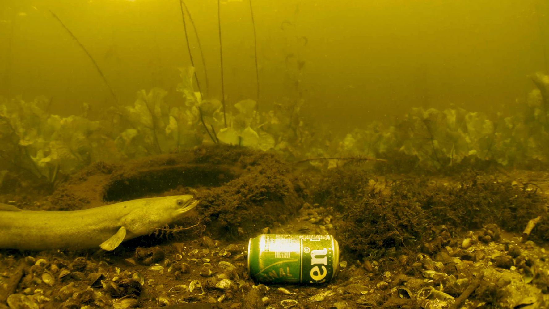 Nederland Onder Water