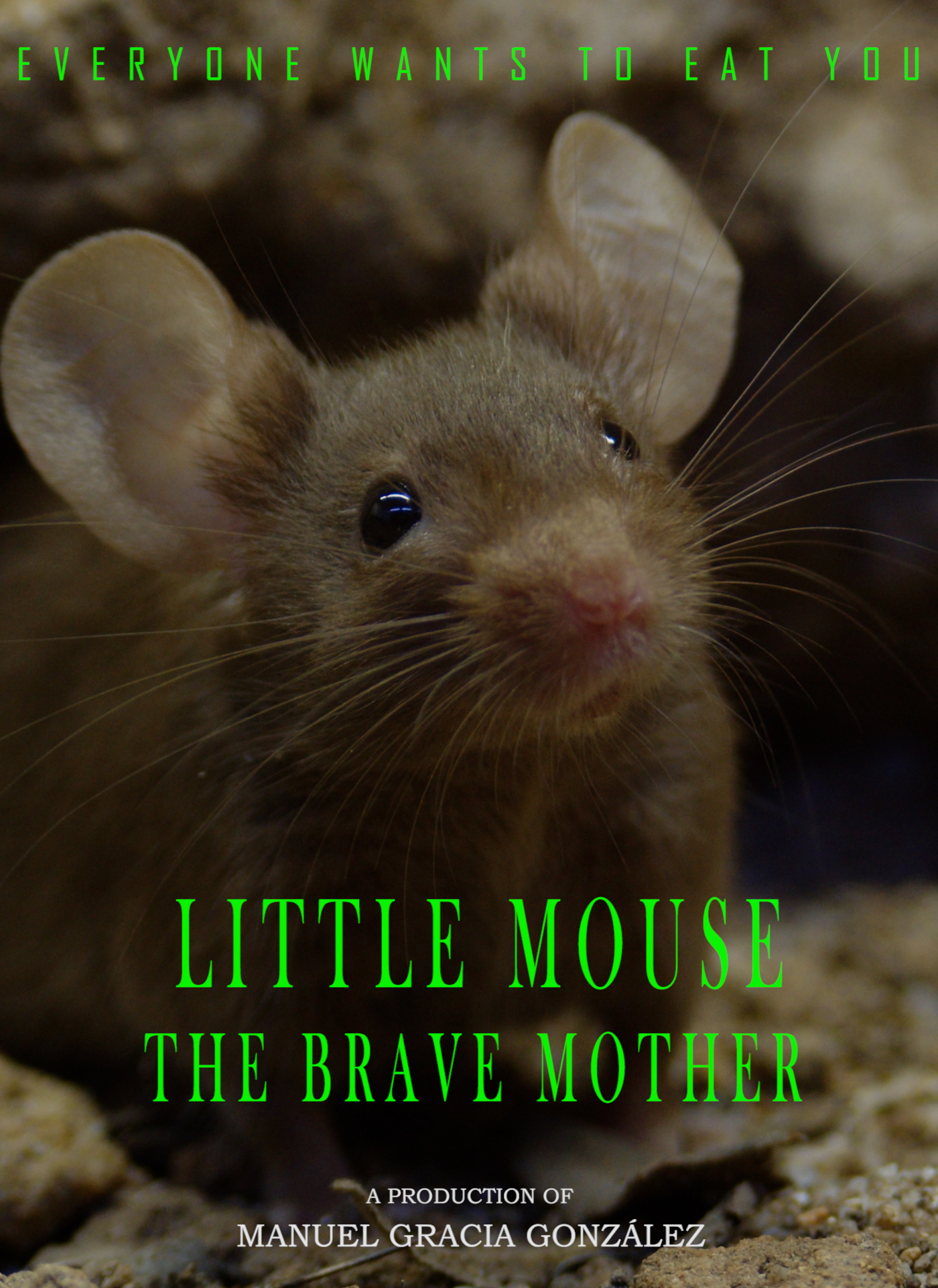 Little Mouse - The Brave Mother