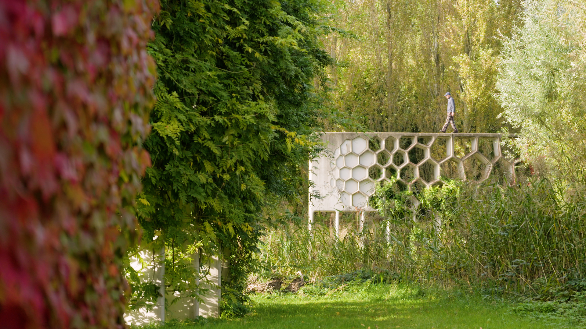 Máximapark - from Greenhouses to a Living Landscape