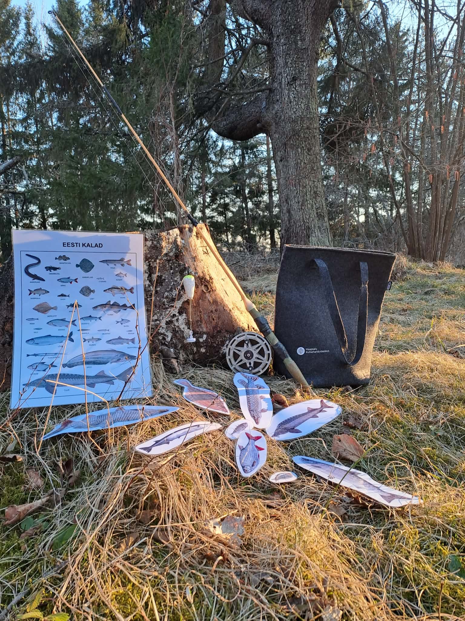 Eesti kalad
