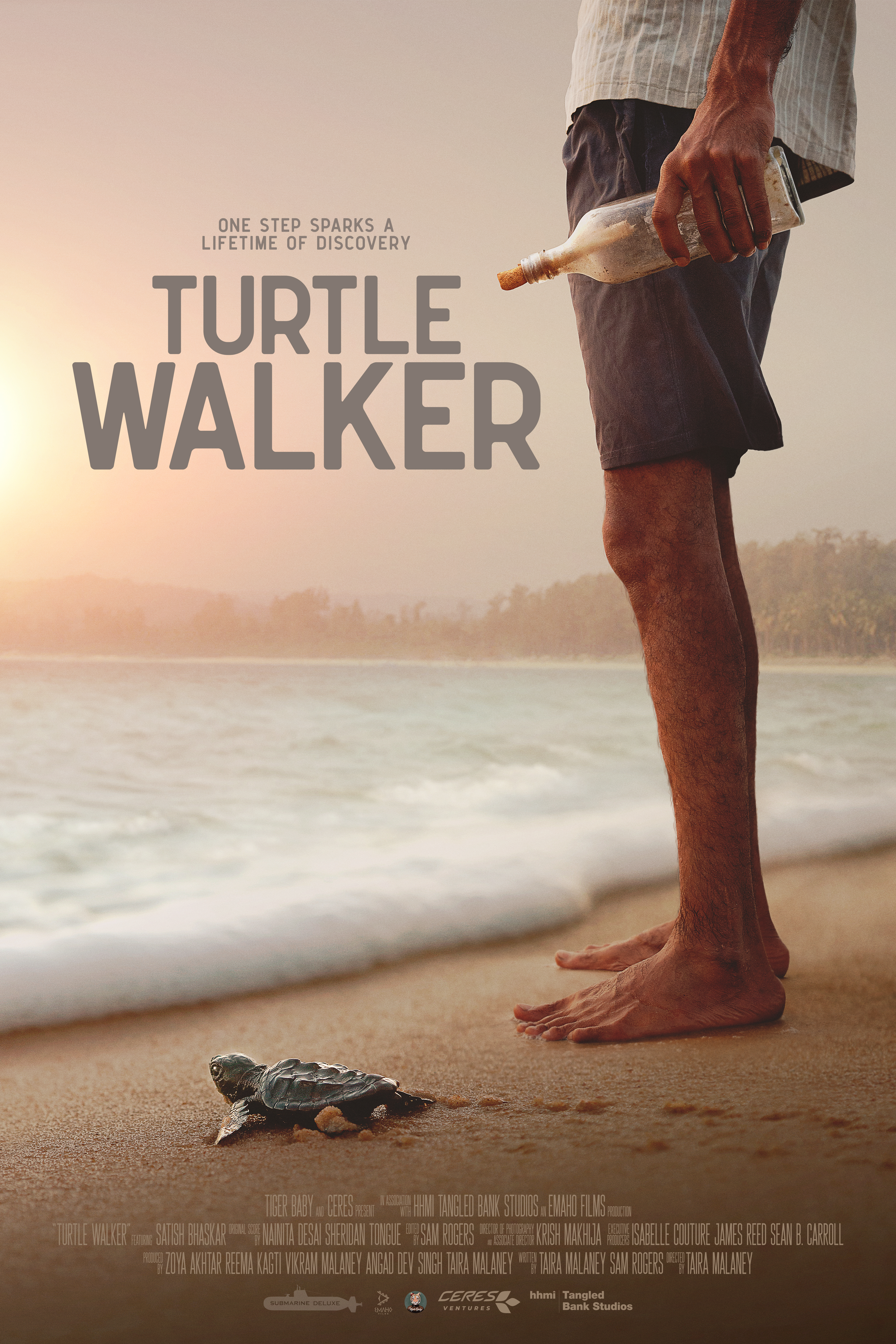 Turtle Walker