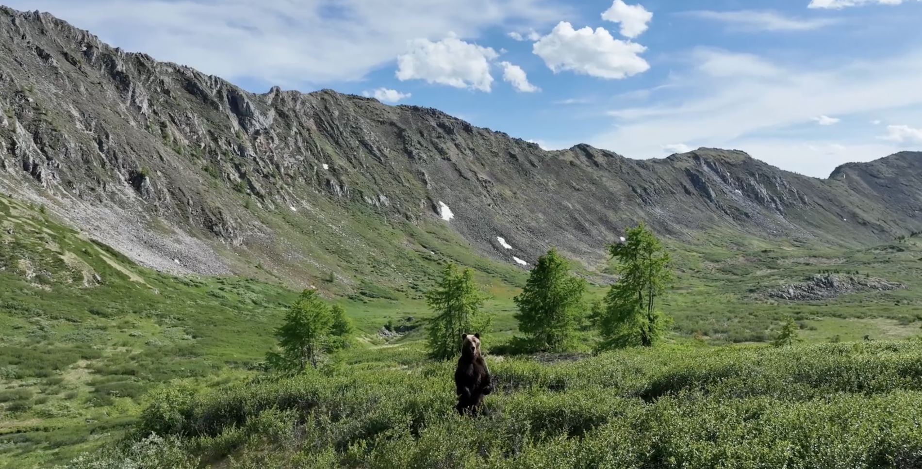 Mongolie, La Vallée Des Ours