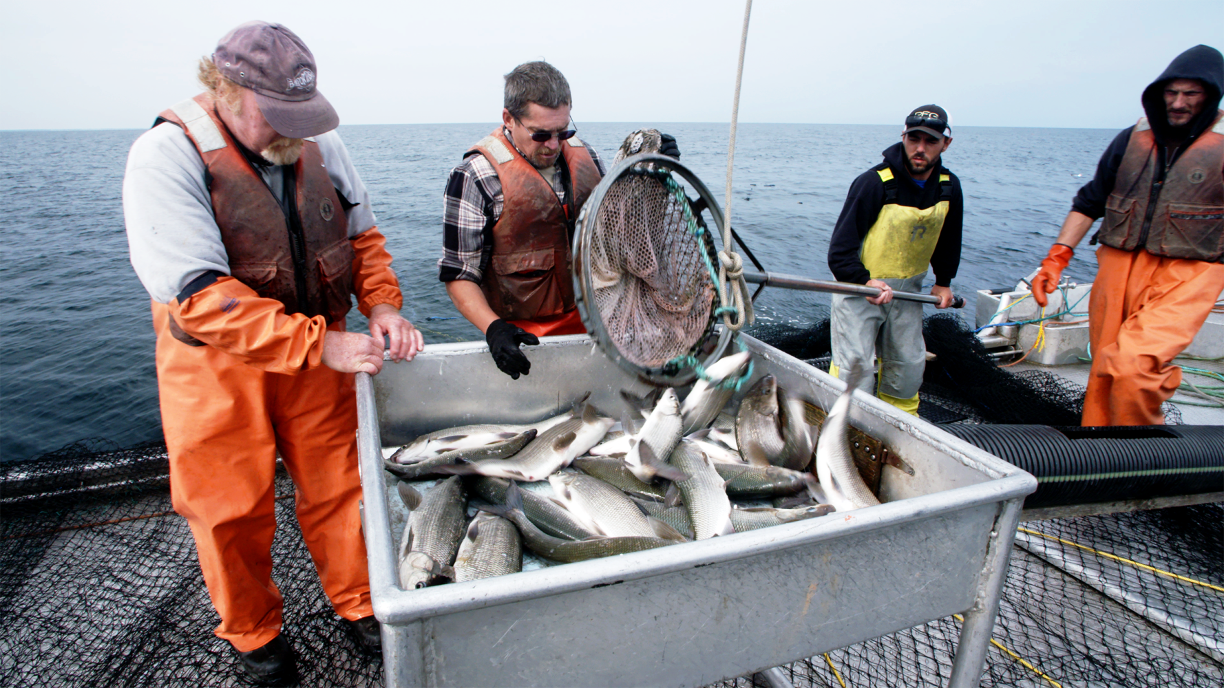 The Fish Thief: A Great Lakes Mystery