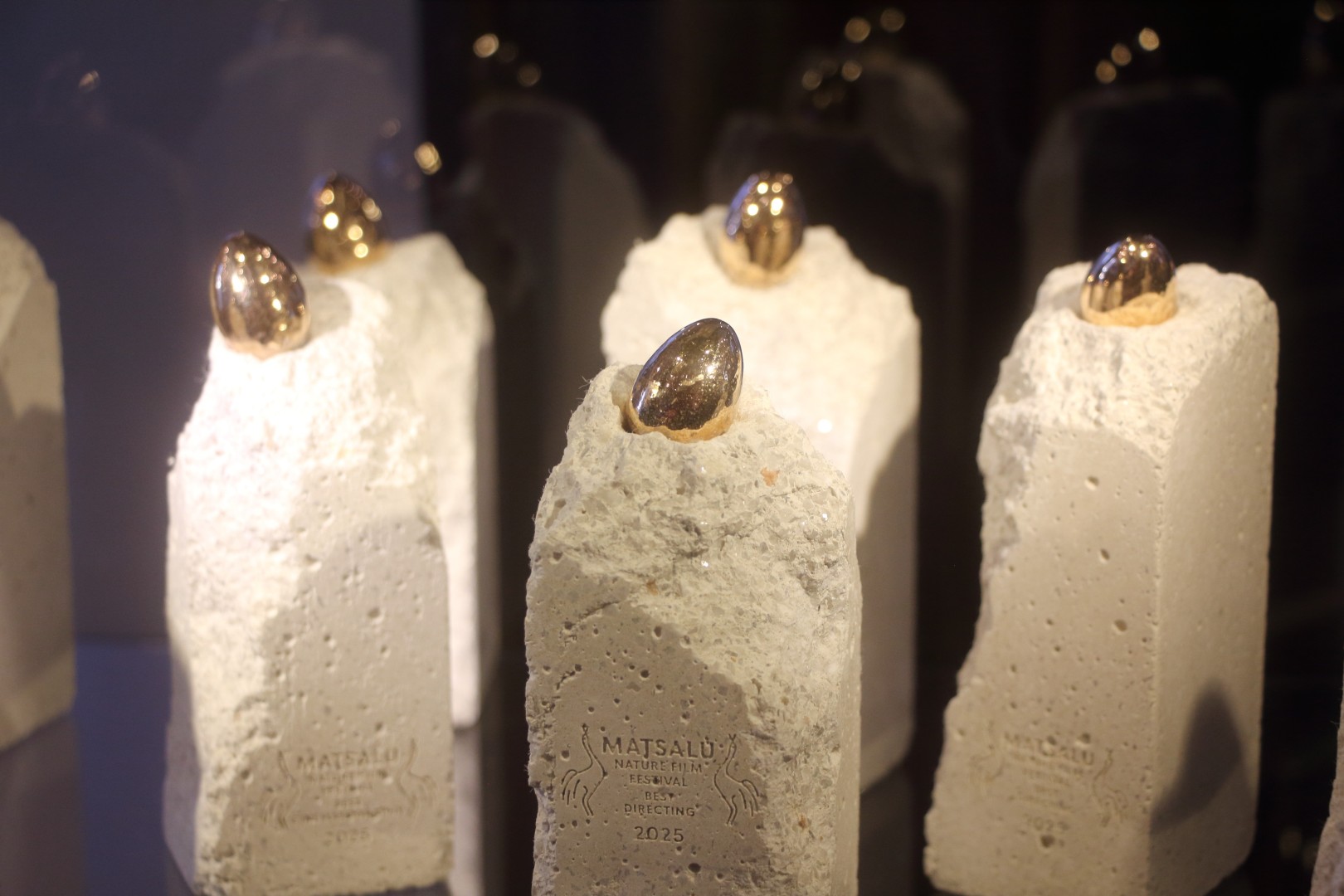 54810561262_8d9333c2ab_o