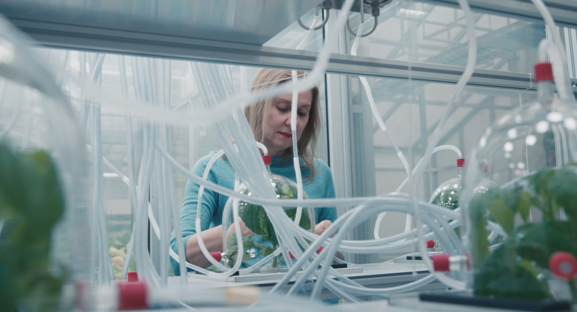 Flying Scents - Of Plants and People