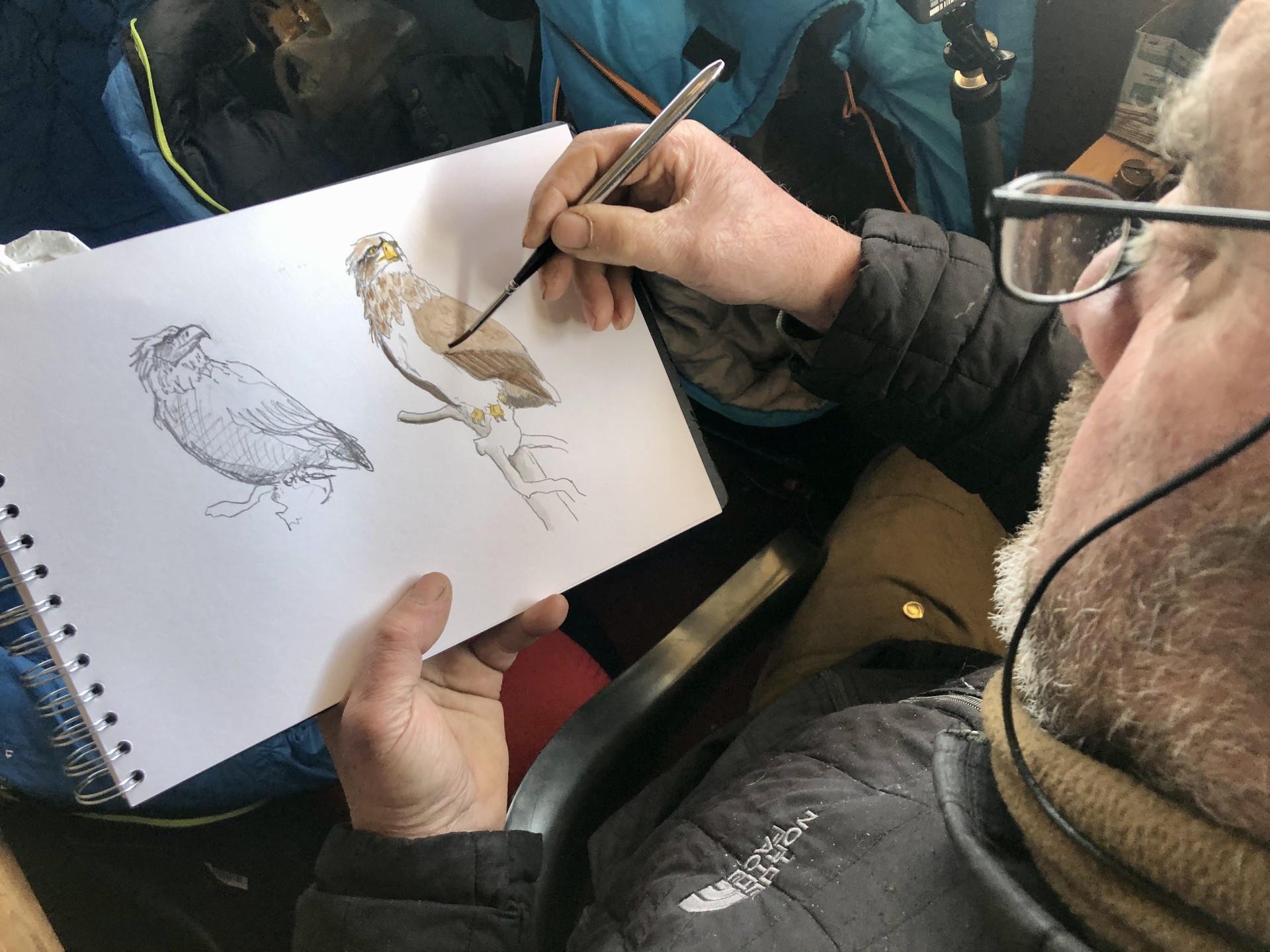 L'affût aux loups