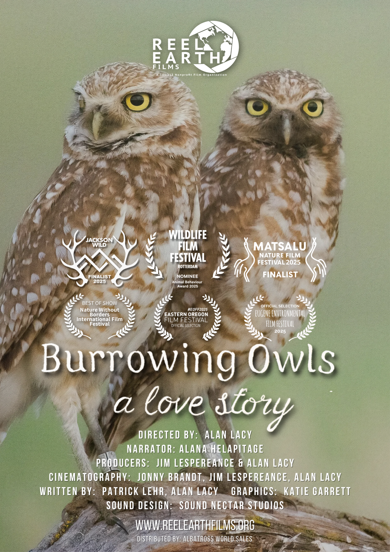 Burrowing Owls: A Love Story