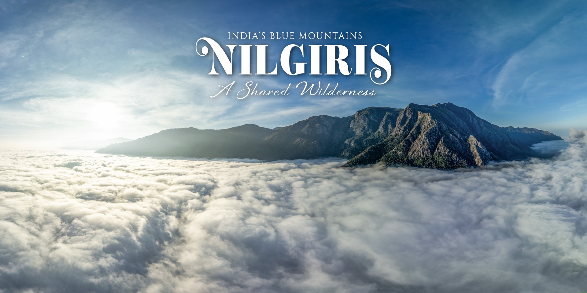 Nilgiris - A Shared Wilderness