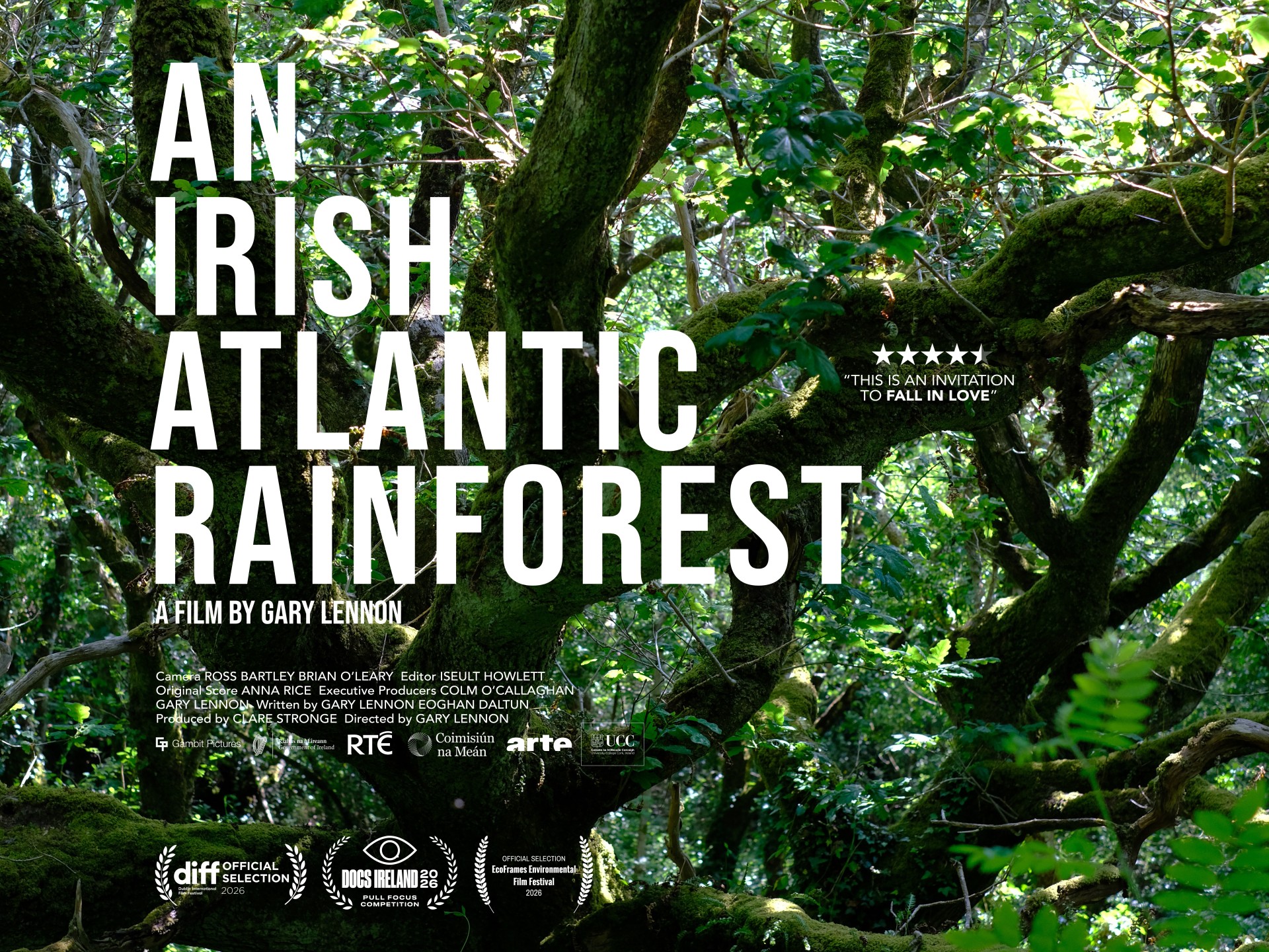 An Irish Atlantic Rainforest