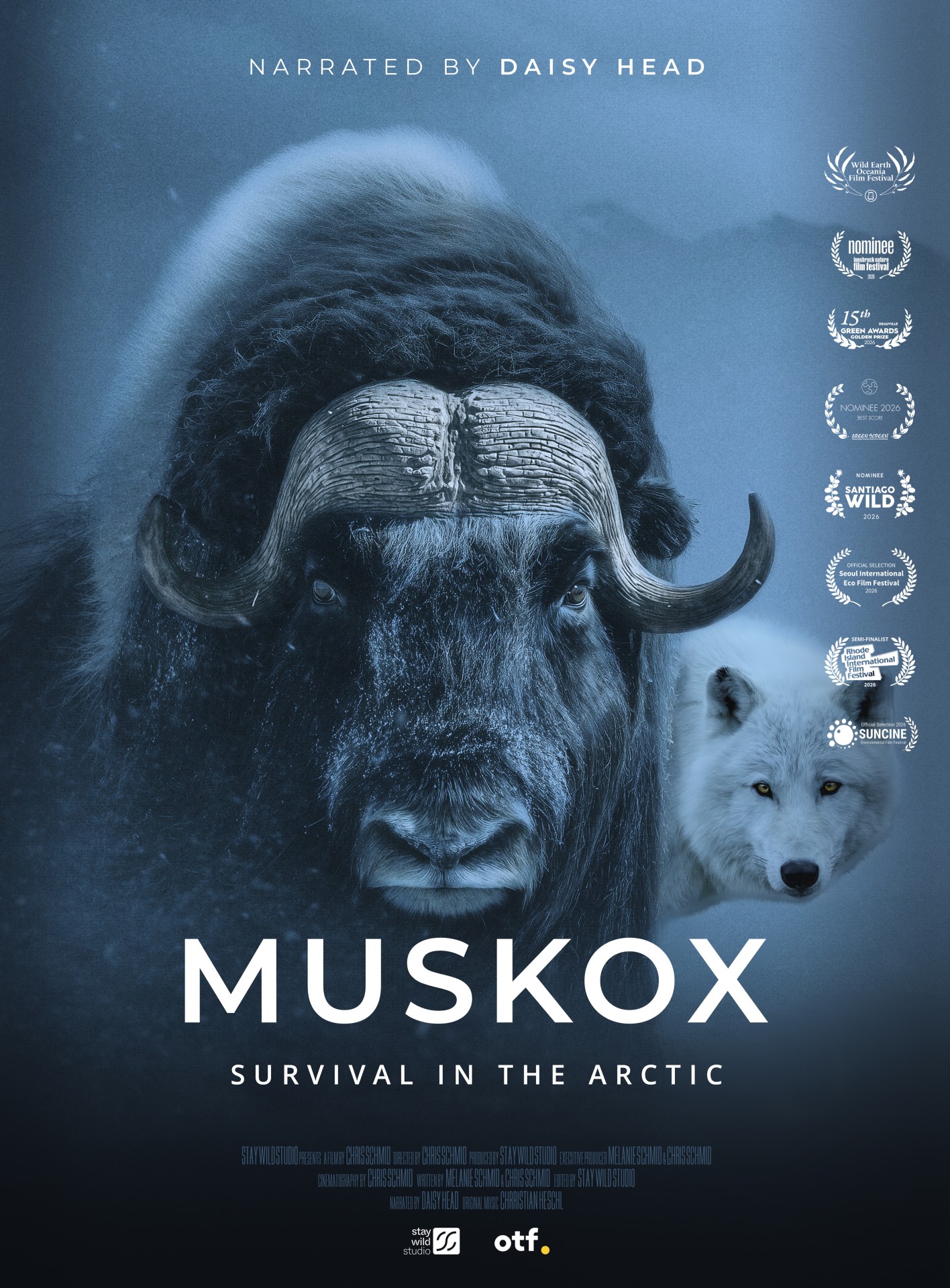 Muskox: Survival in the Arctic