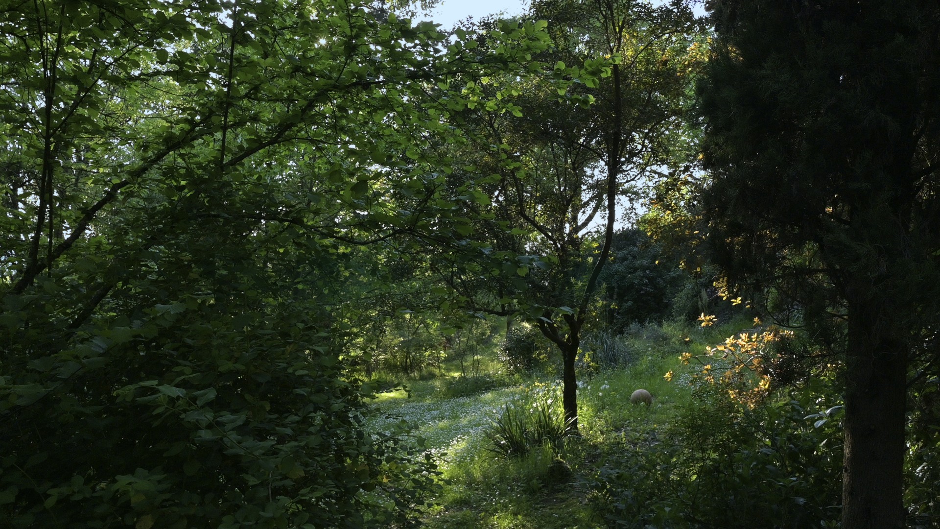 The Piuca Wildlife Garden