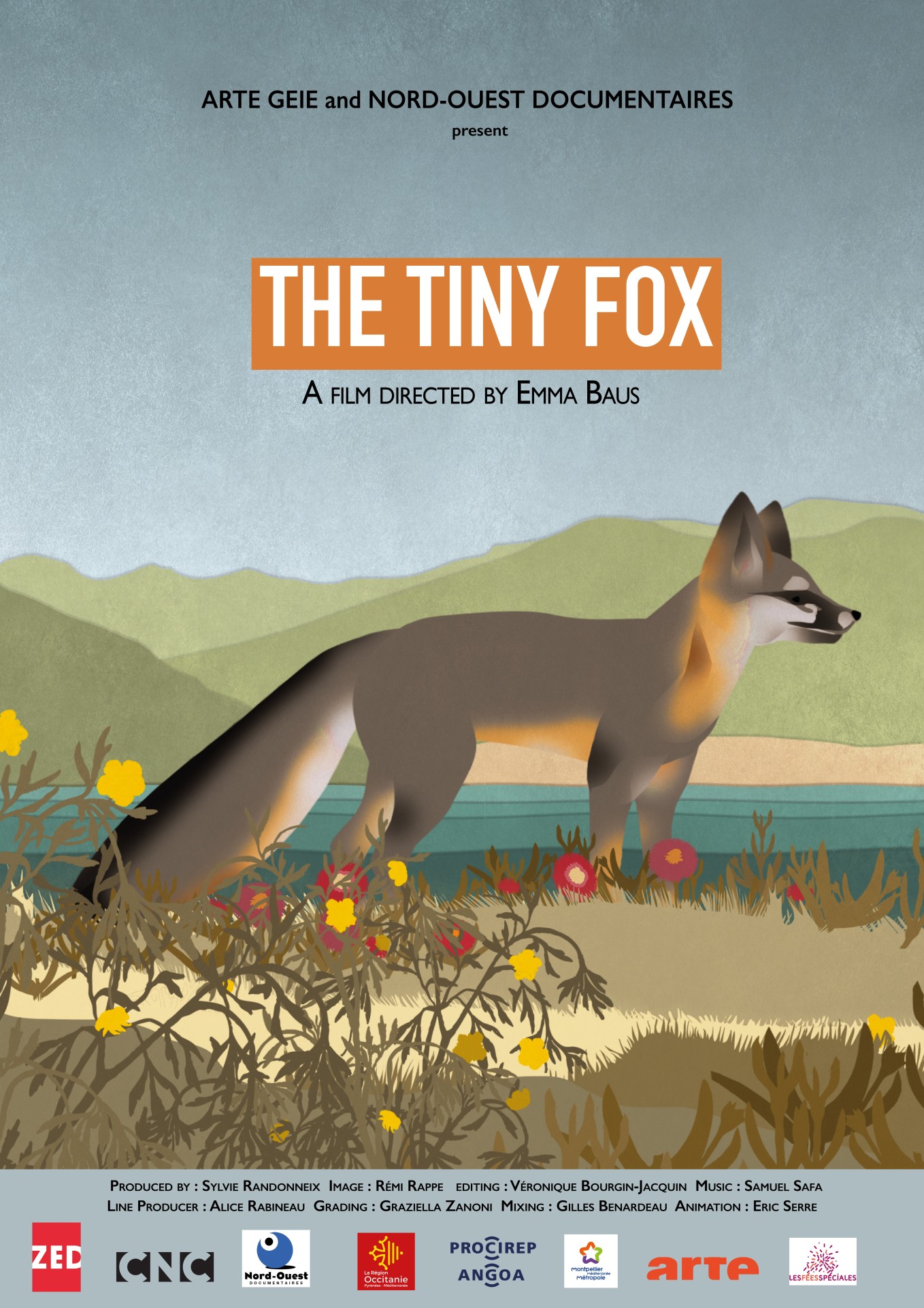 The Tiny Fox