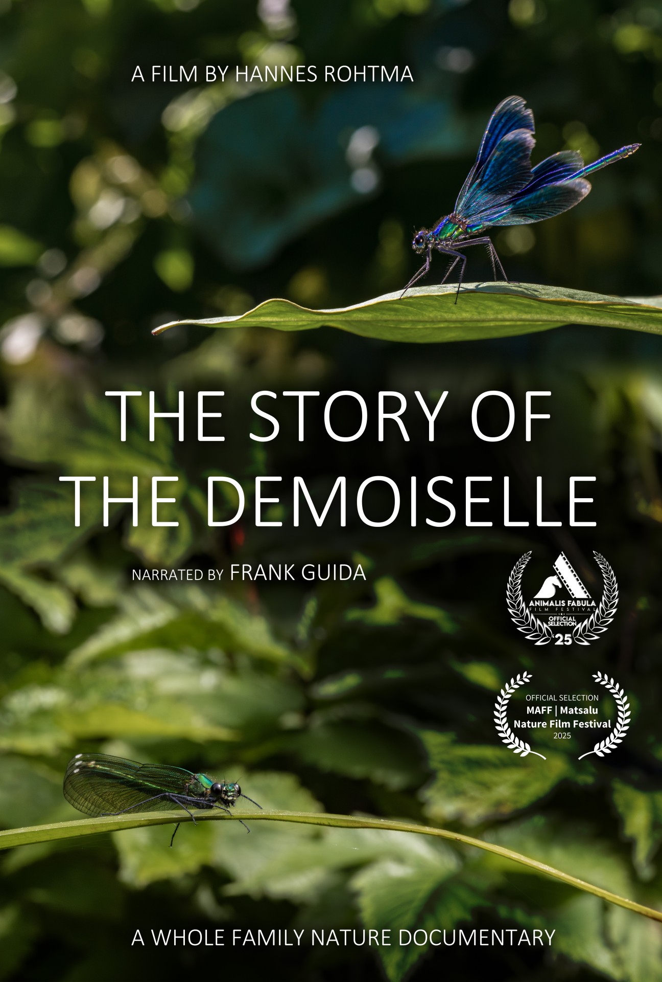 The Story of the Demoiselle