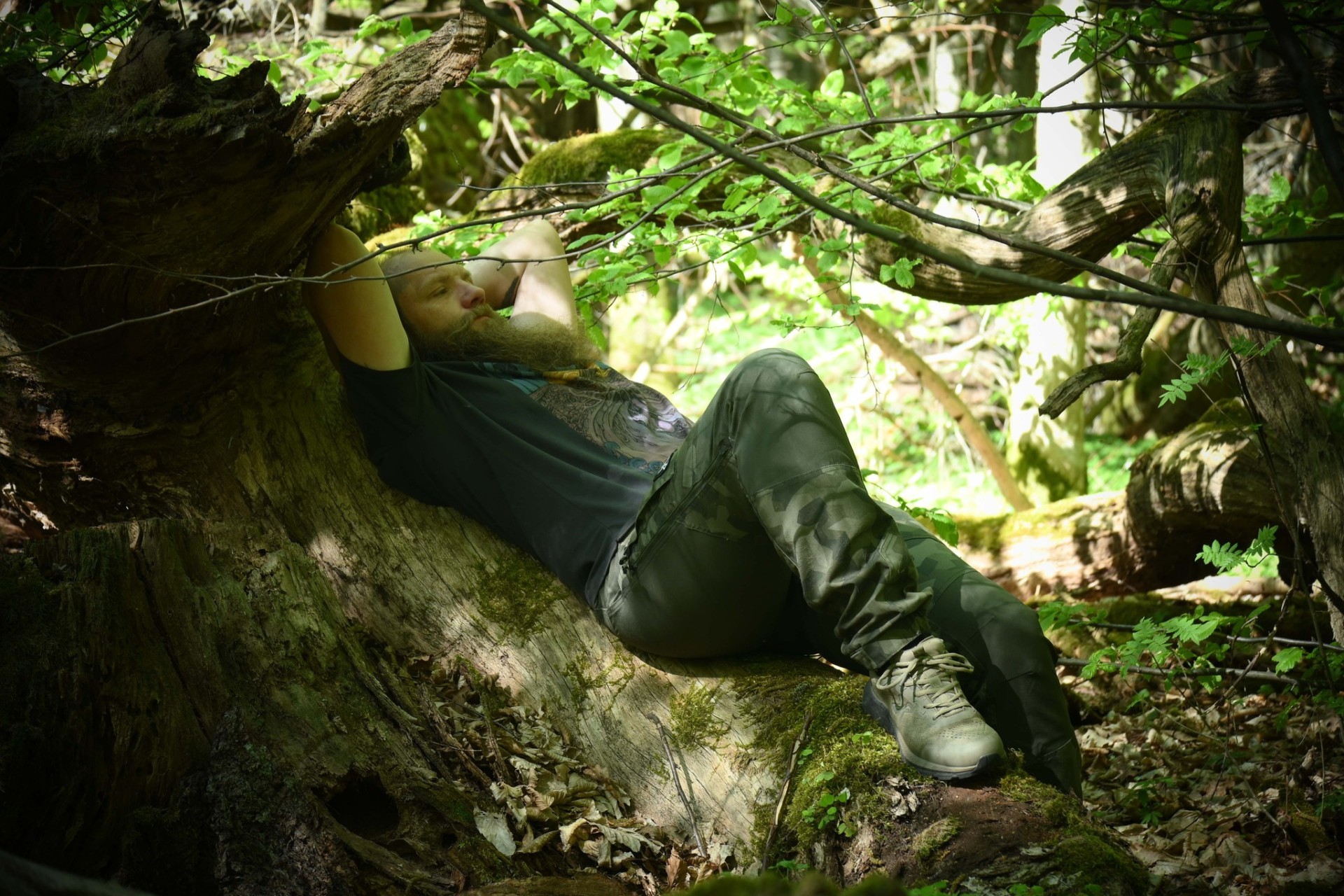 Forest Guardian: Stories from the Heart of the Woods